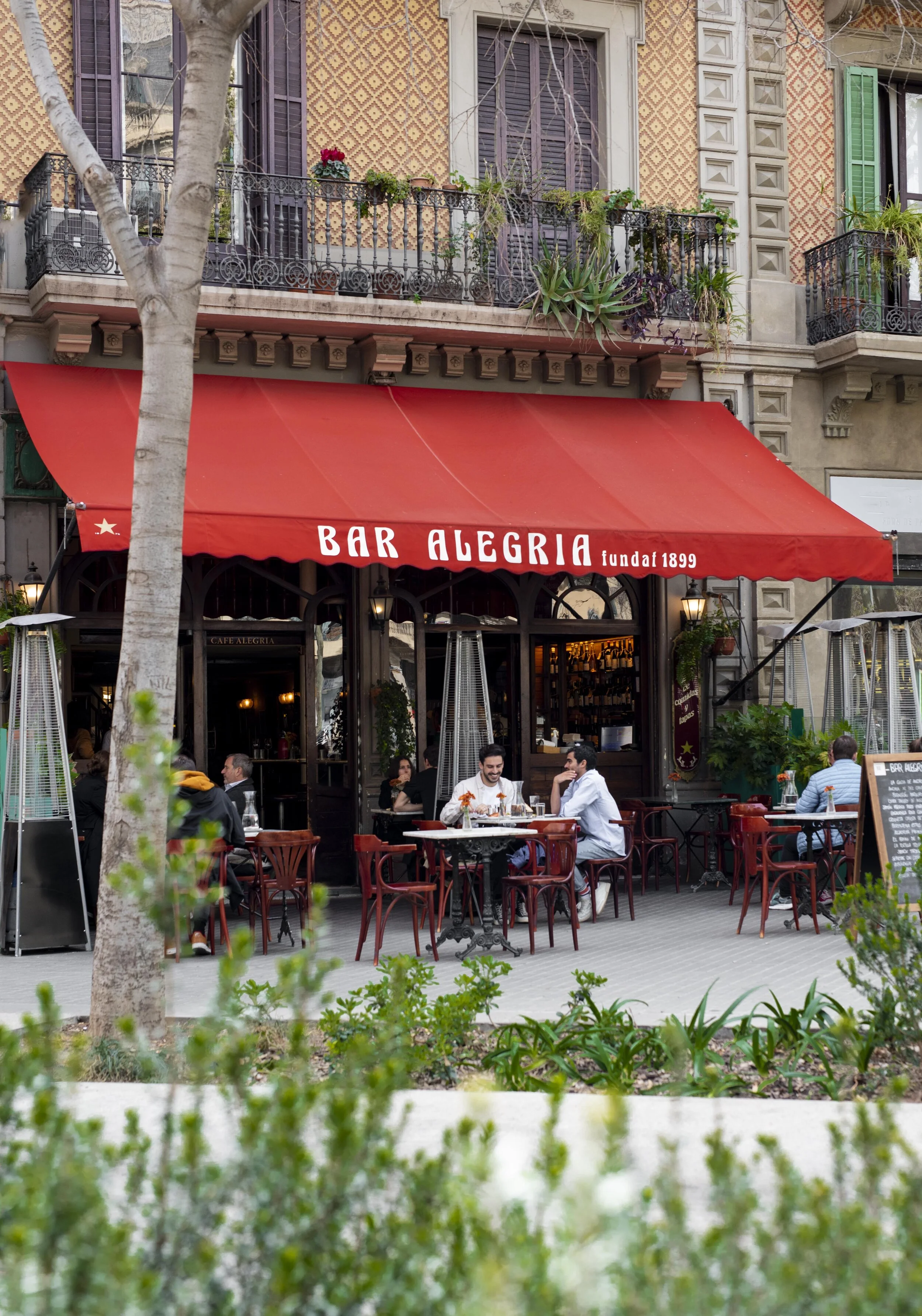 Best Tapas Bars in Barcelona UPDATED! — BARCELONA FOOD EXPERIENCE