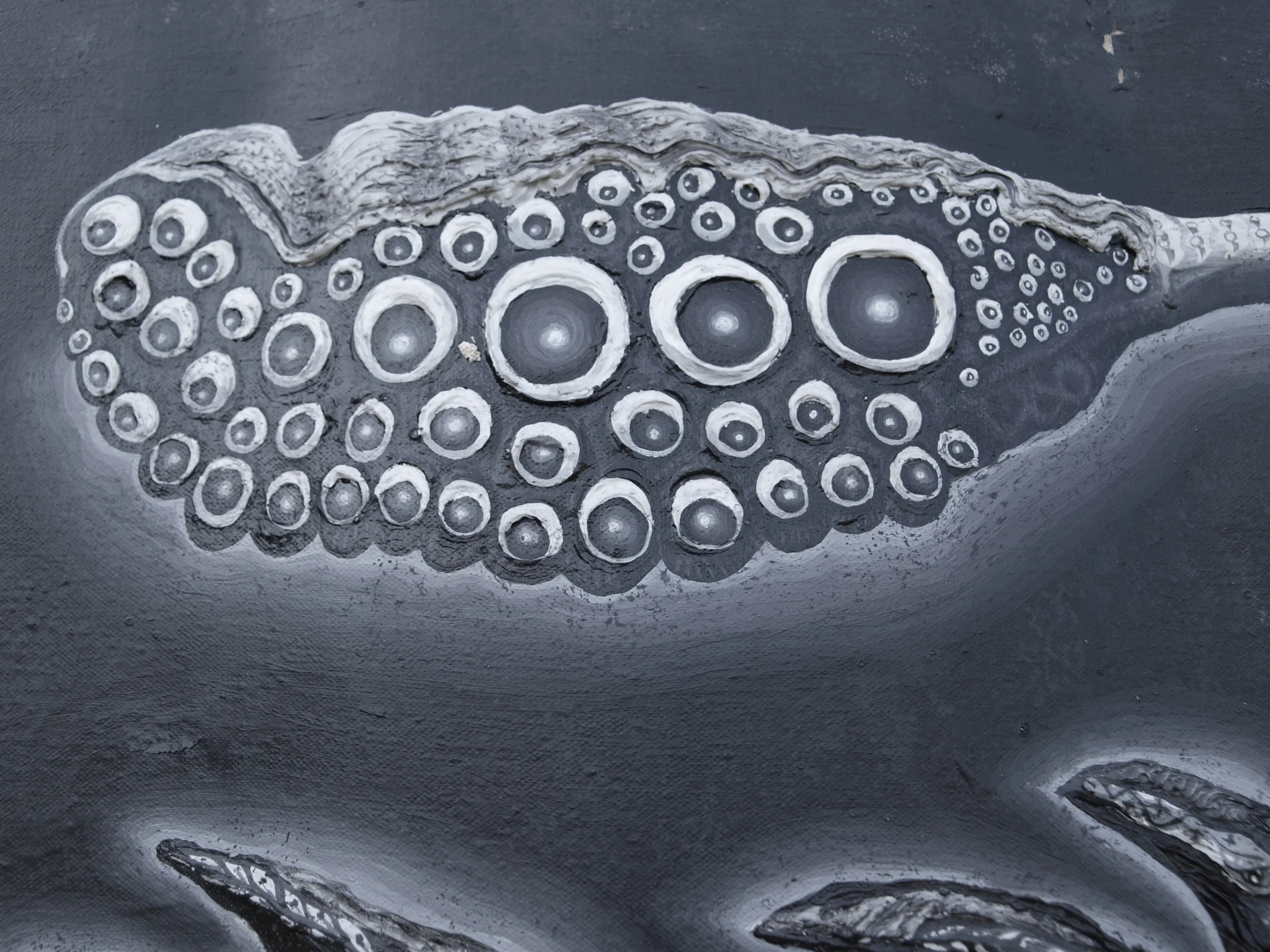 6_CUTTLE_FISH_IN_FAR_DARK_1974CGG.jpg