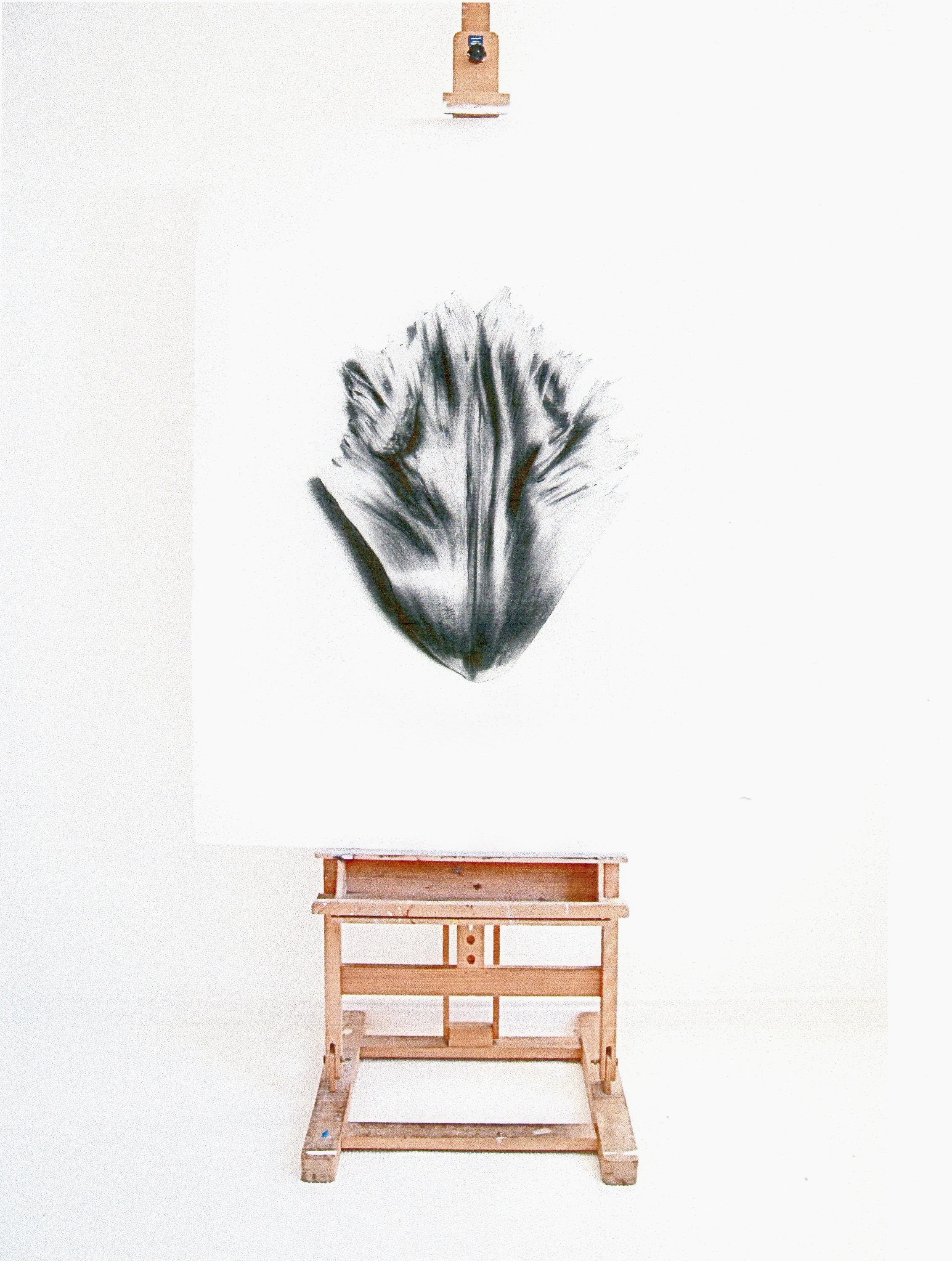 X2EASEL.jpg