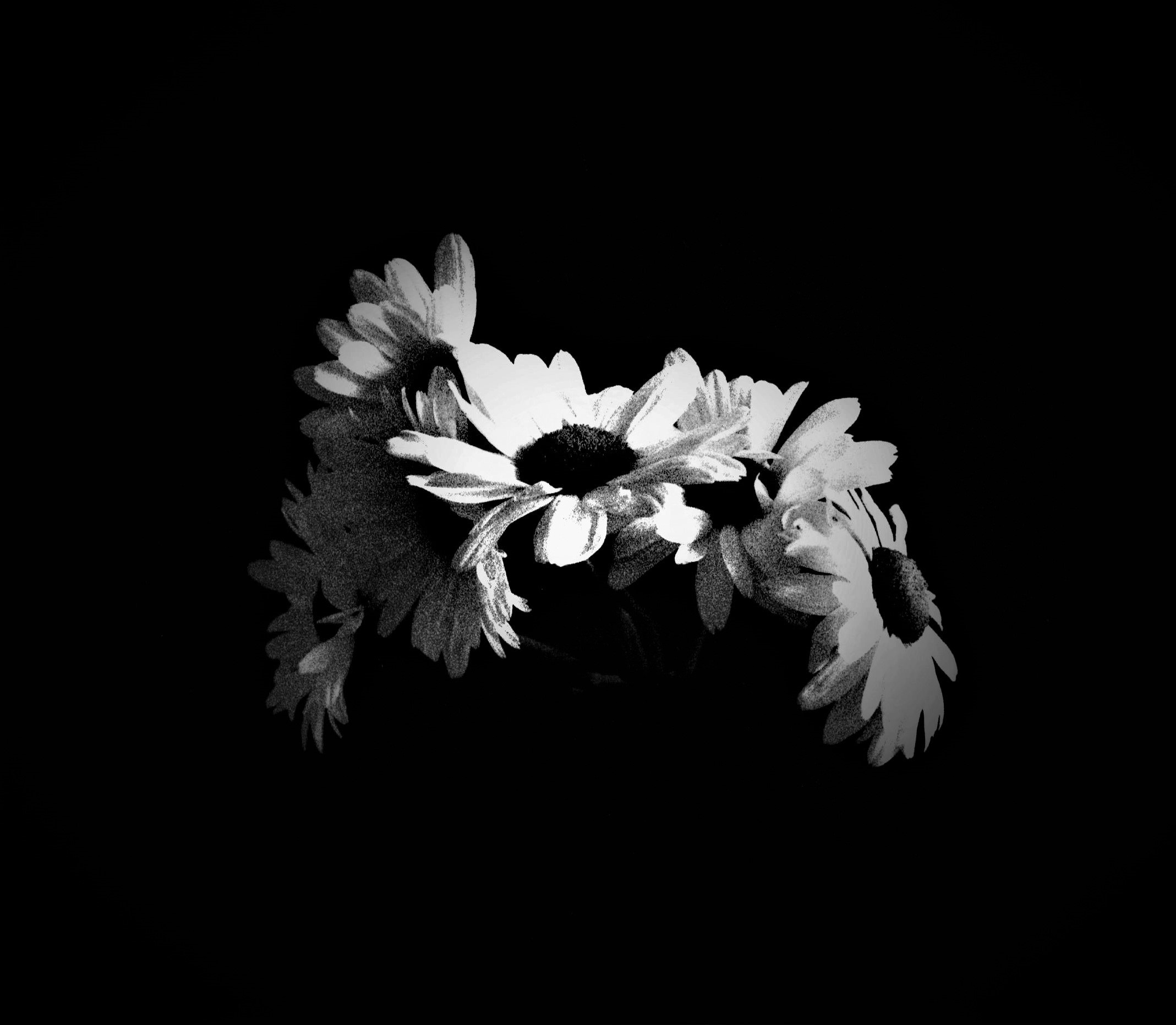 2_DAISY_ARC_IN_FAR_DARK_WASH_AND_CARBON_ON_PAPER_130CMX130CM_CORALGUEST2008.jpg