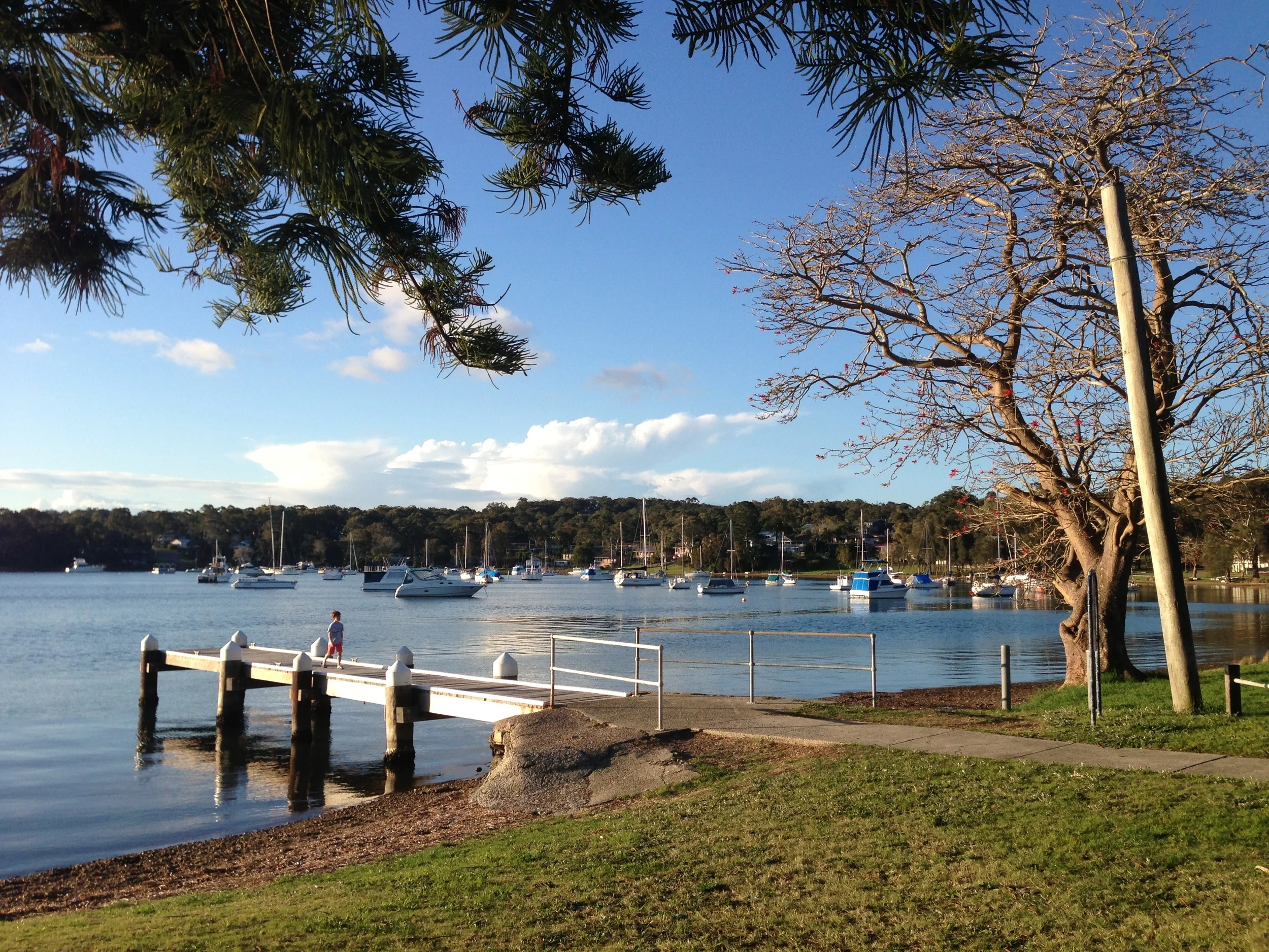 IAF Phone Jan 2015 066.JPG