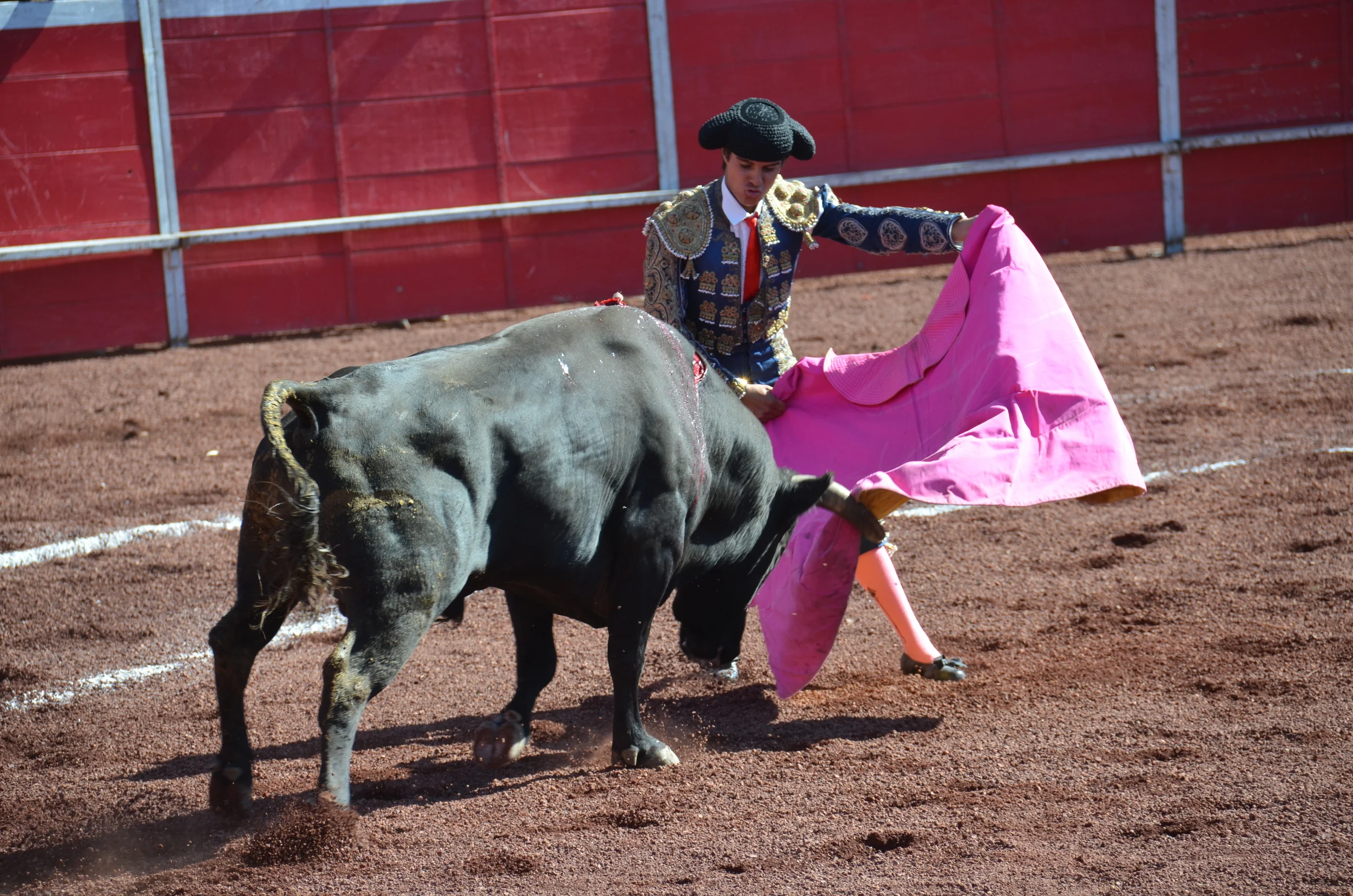 DSC_5352.JPG
