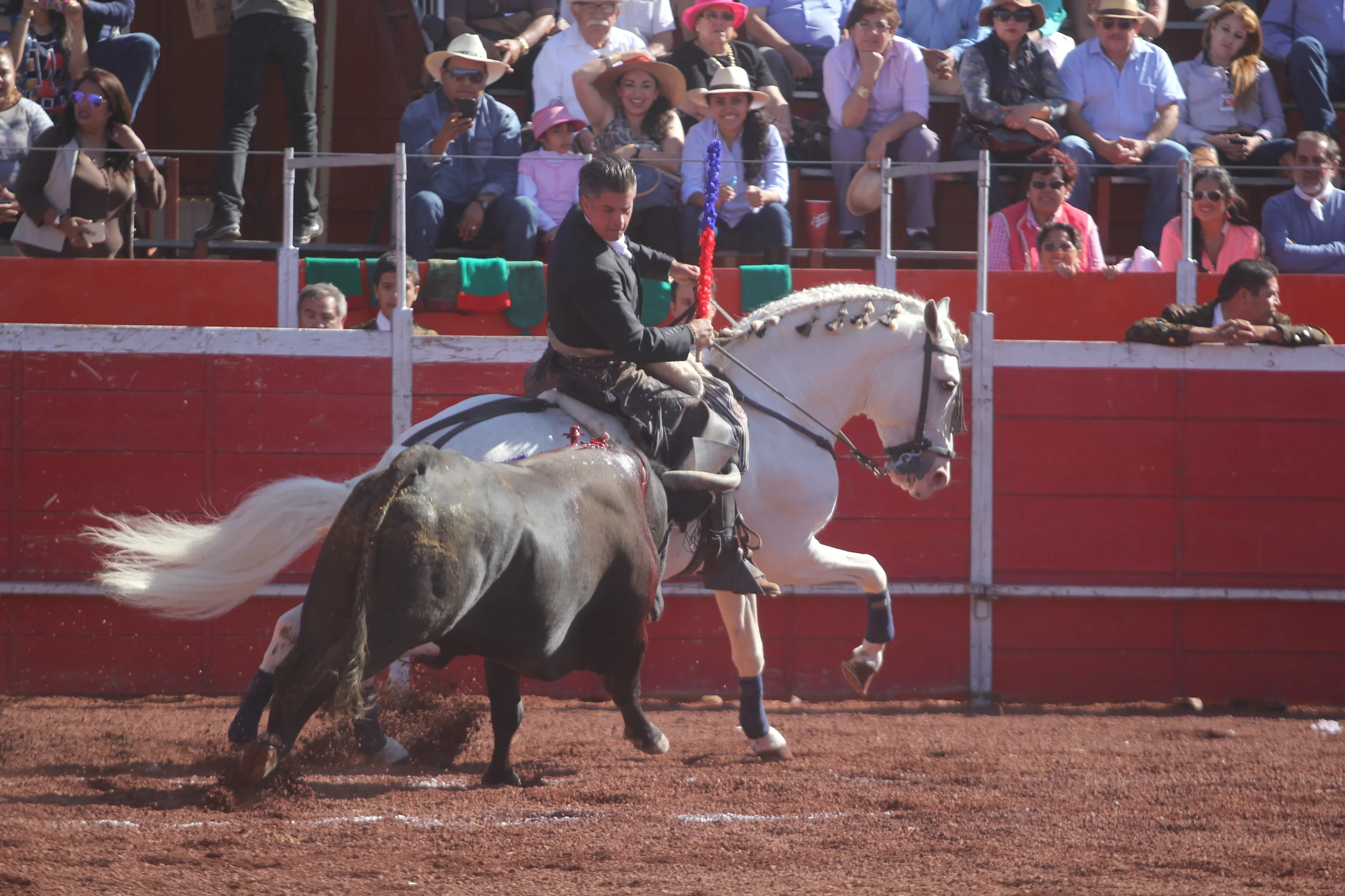 IMG_4341.JPG
