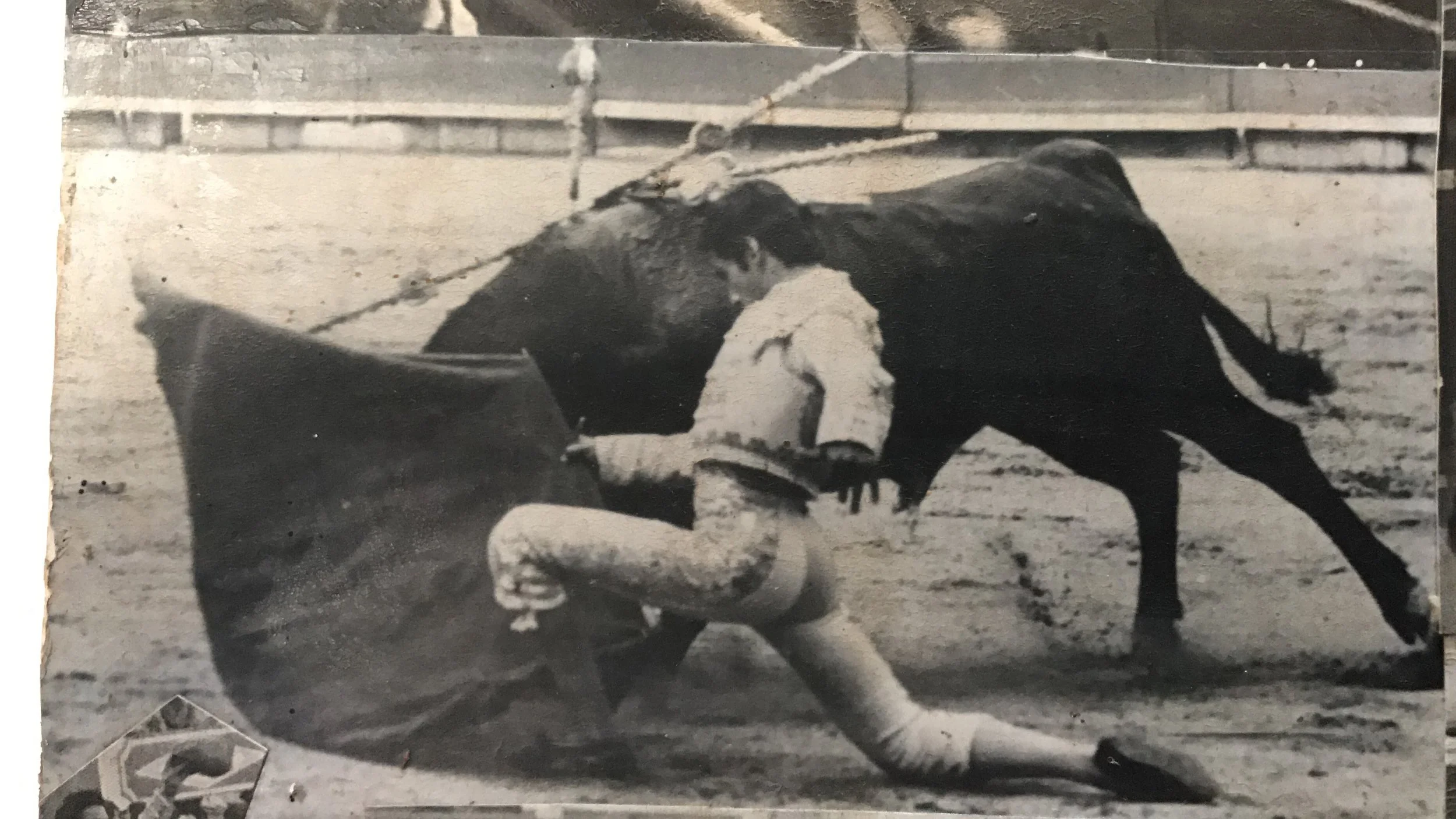  El 15 de mayo de 1977, un San Isidro, toma la Alternativa de Matador el fundador de esta casa. Enhorabuena Matador, 