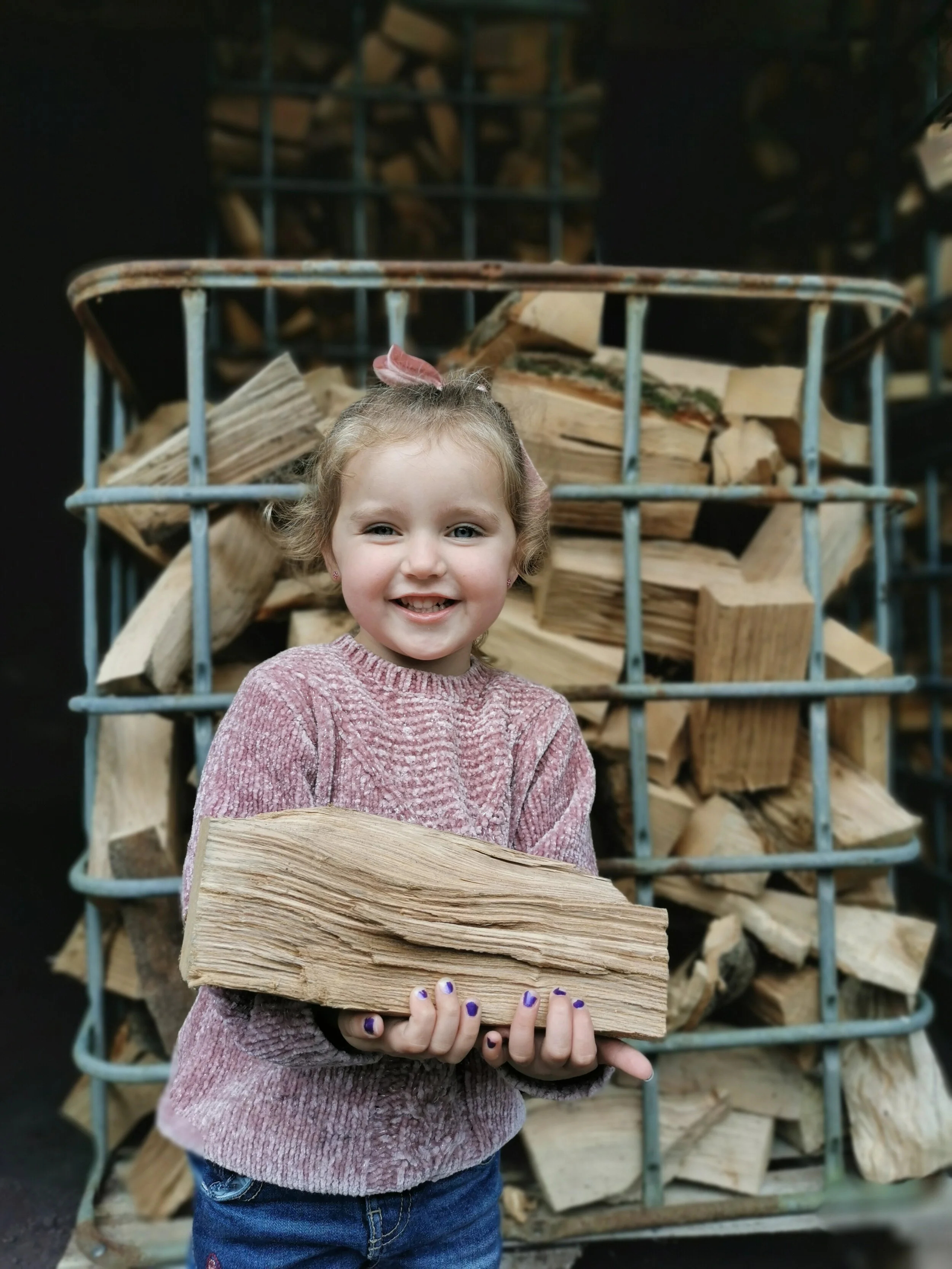 Fairlie Woodfuels Kiln dried hardwood & softwood, kindling, net bags