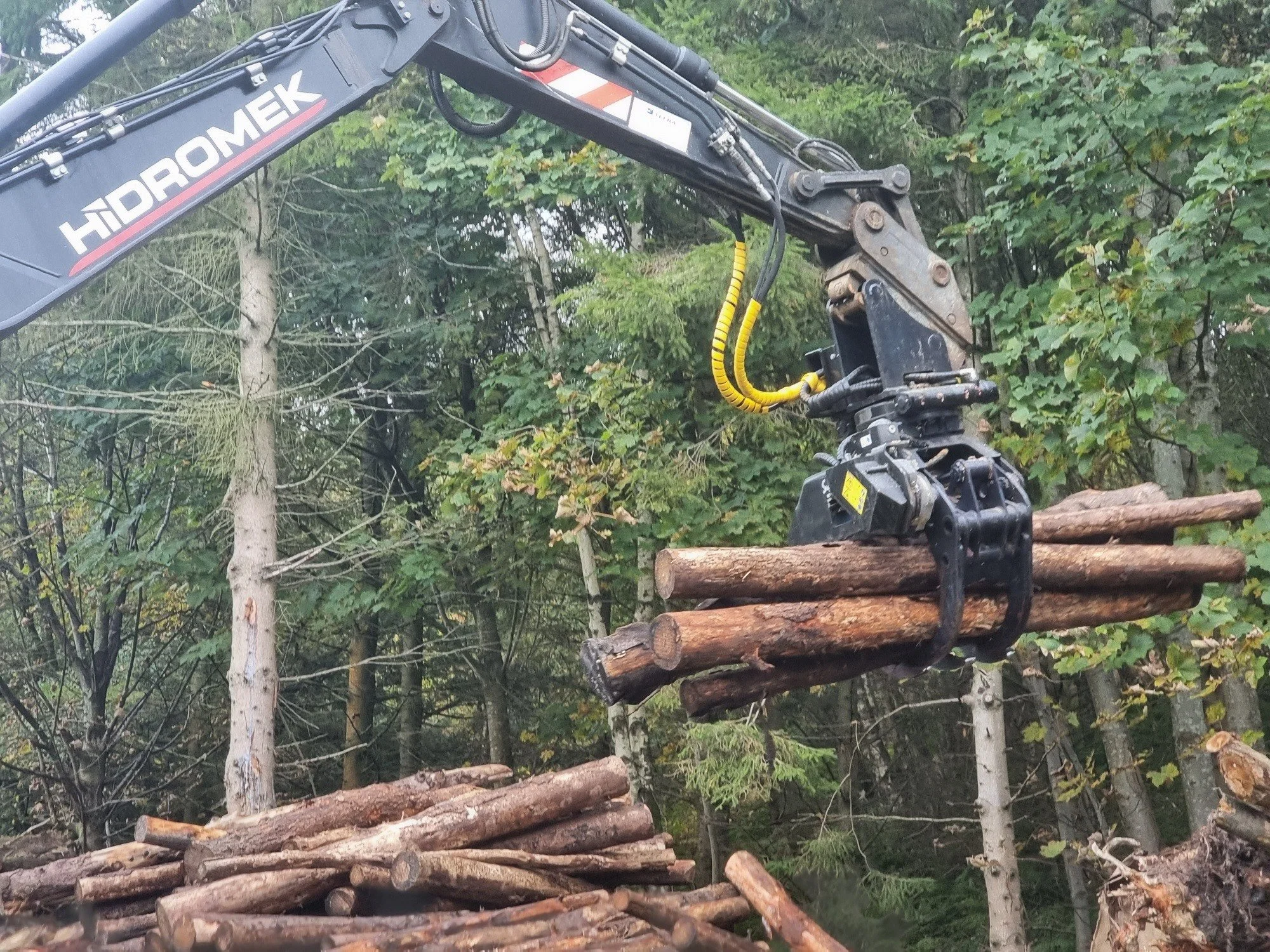 Fairlie Woodfuels Kiln dried hardwood & softwood, kindling, net bags