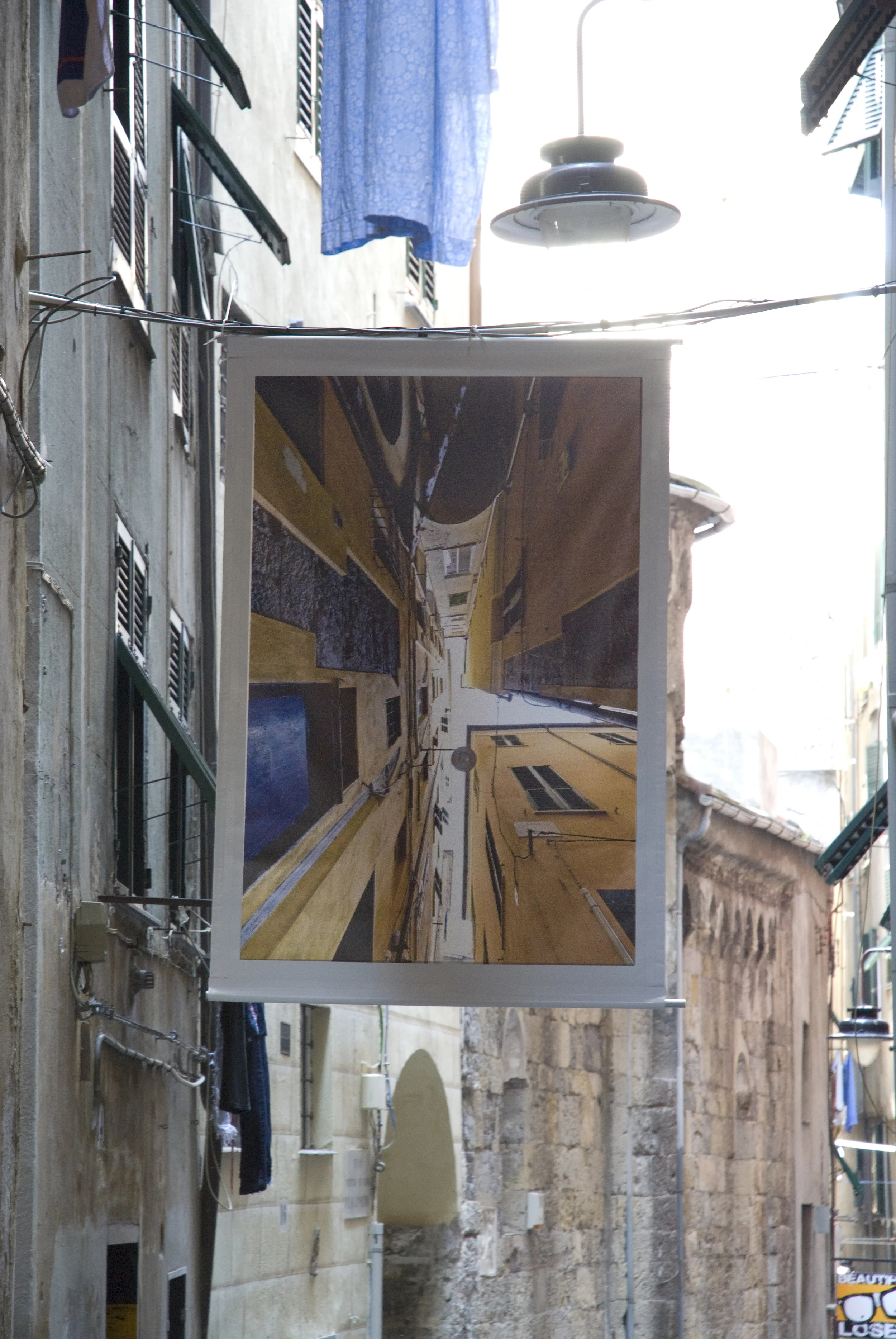 _DS24339.jpg