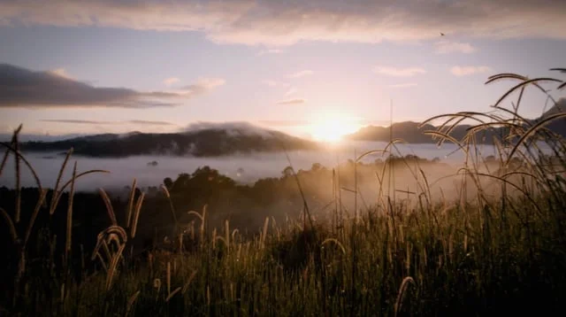 Lilydale - Camp Free Range 