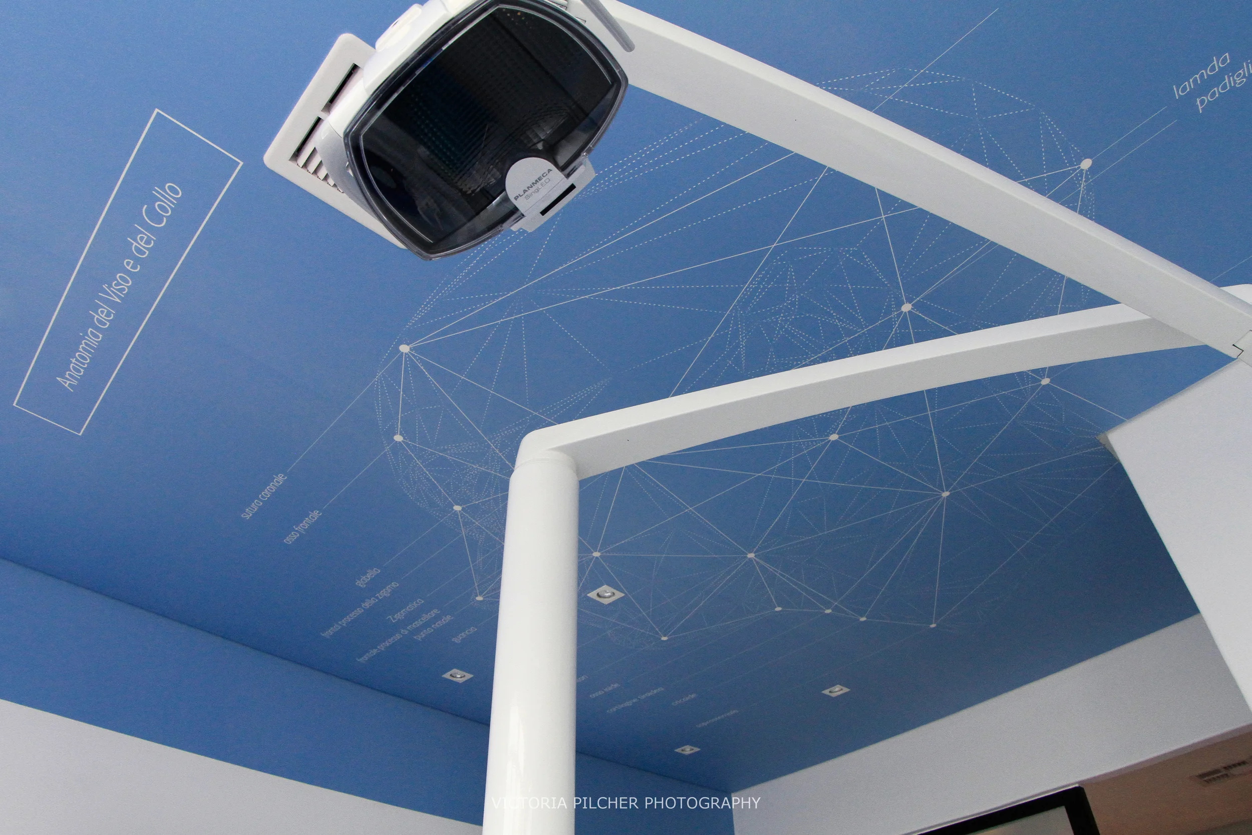 Black Canvas Architectural Interiors