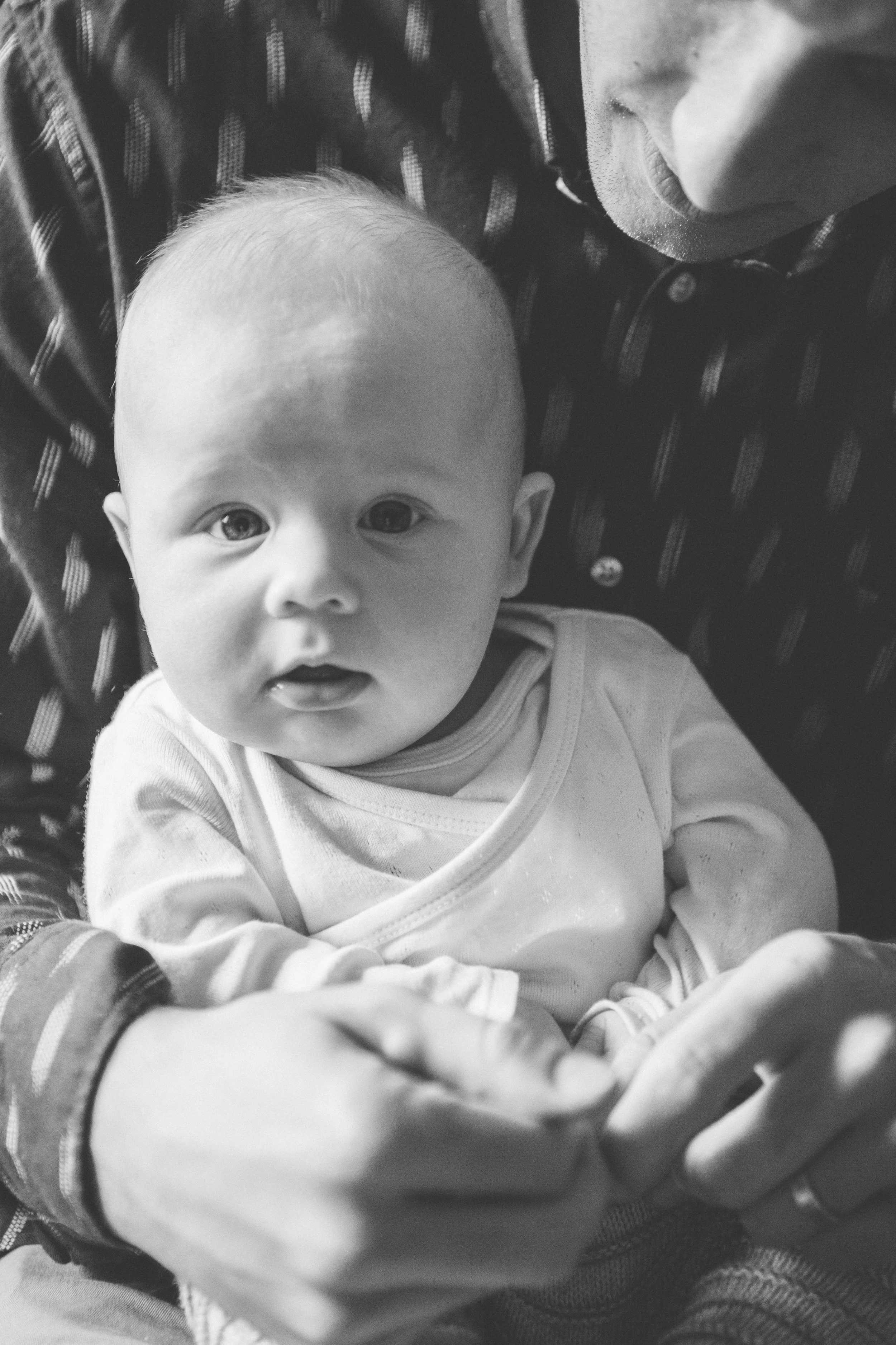 Baby Dash-20.jpg