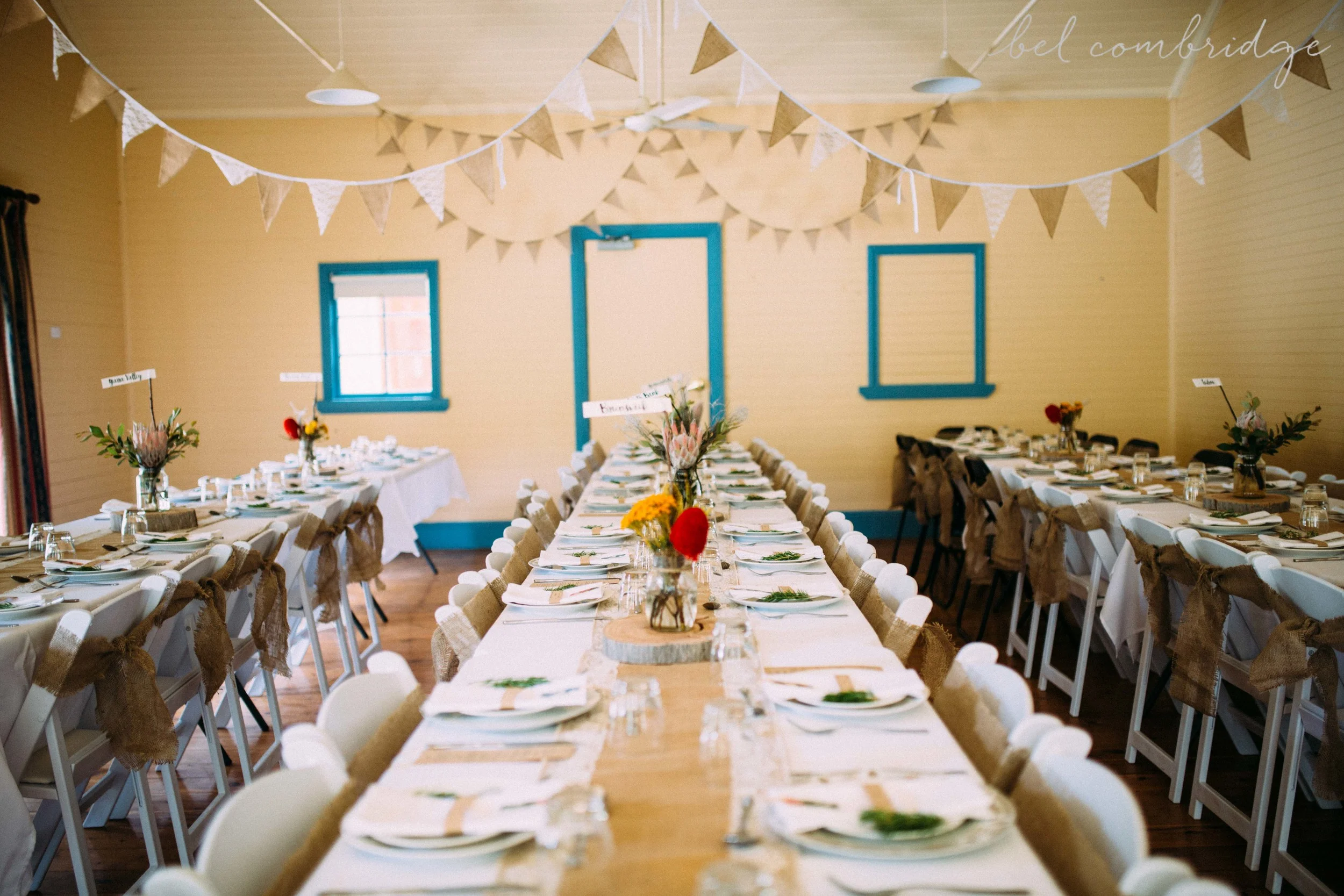 blog_kittydoug-67.jpg