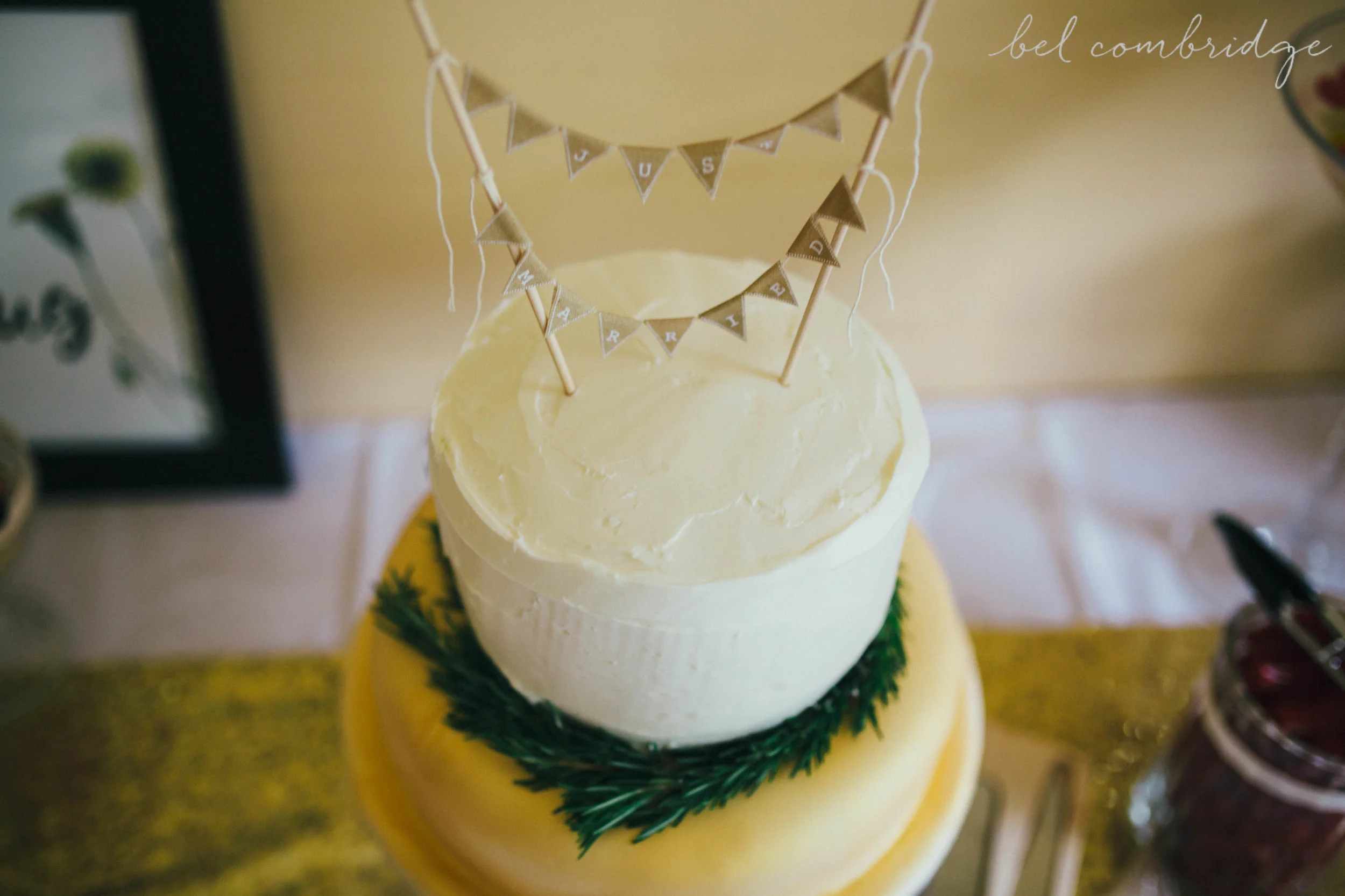 blog_kittydoug-205.jpg