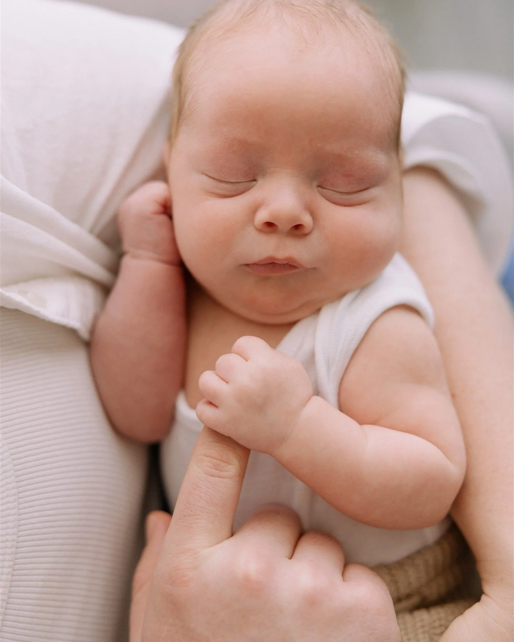 Baby Heath at home with mum Rachelle, dad Brad &mdash; and of course the furbaby too 💛
Those early days filled with cuddles, quiet moments, and a whole lot of love, exactly where everyone feels most at ease.

#maternitysession #inhomematernity #mate