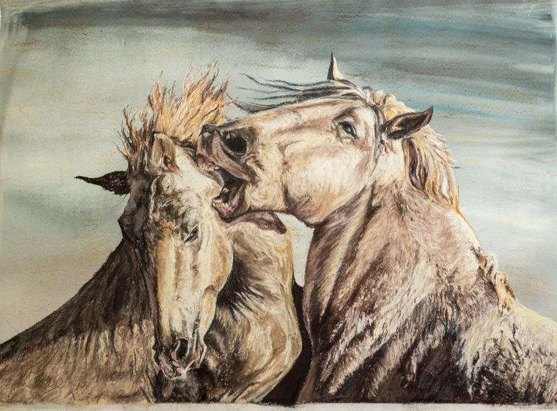 Wild Horses In The Carmague