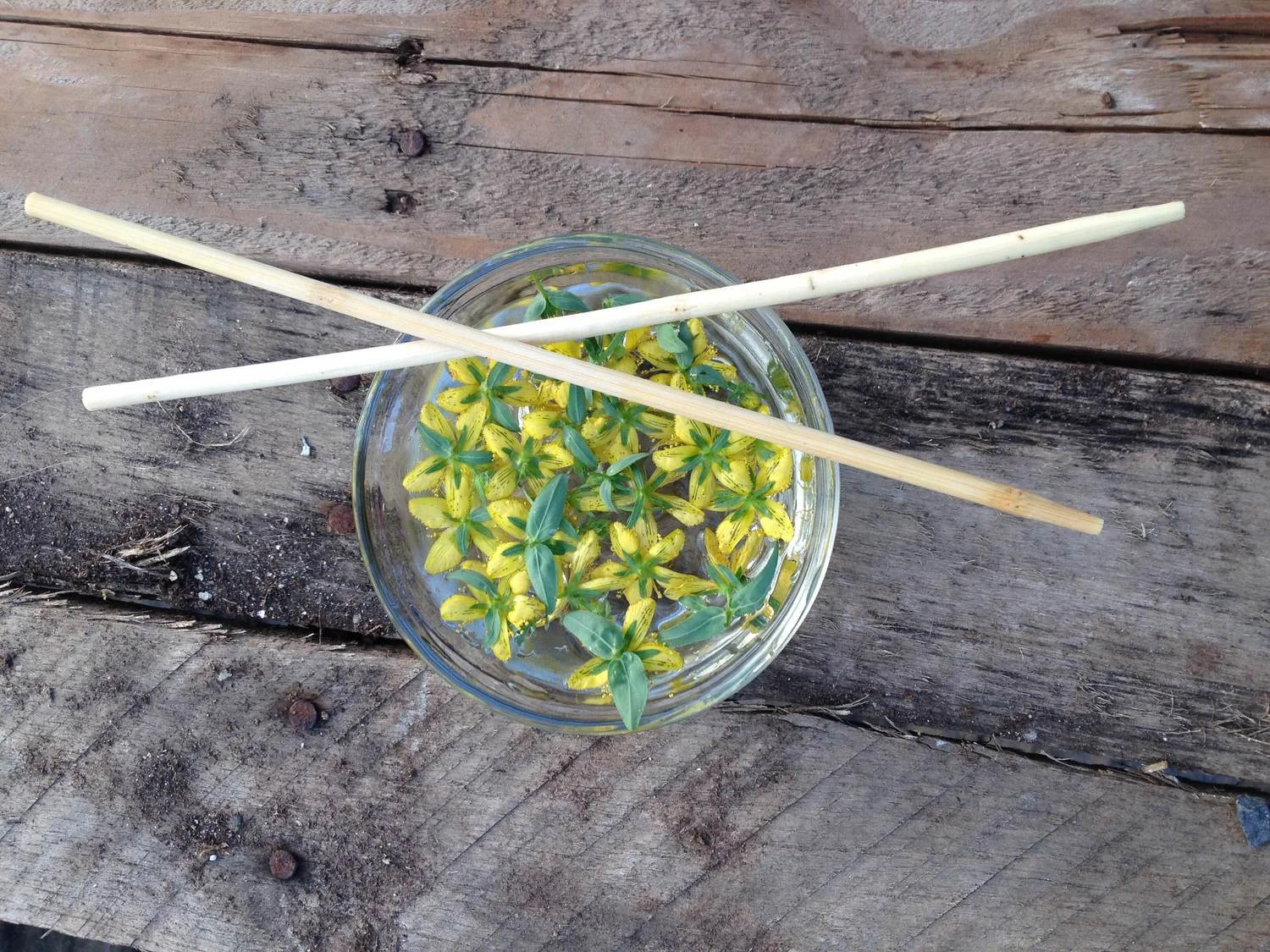 Herbal Medicine Making for Winter Wellness