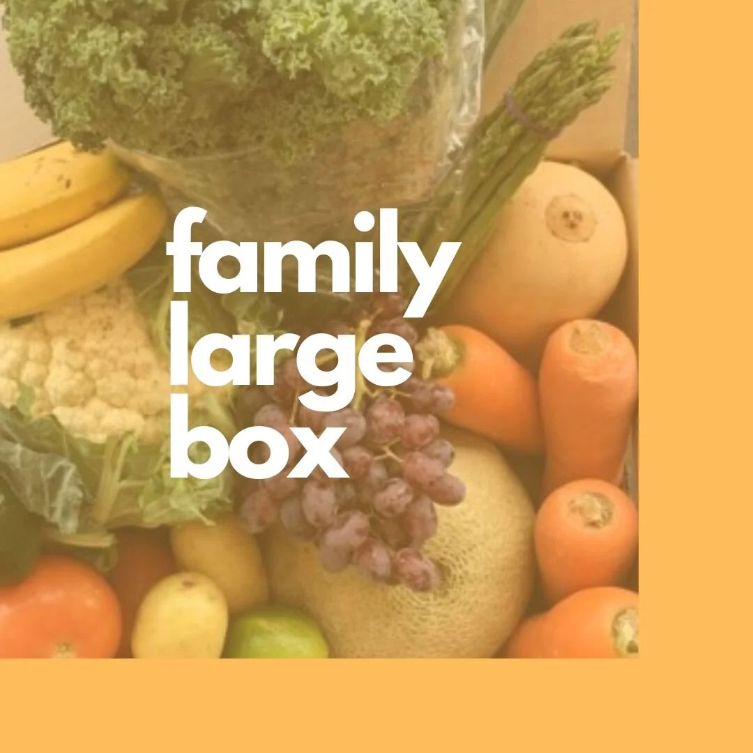 Family Large Box