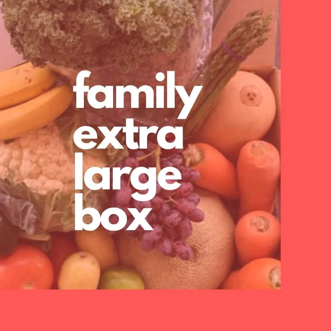 Family Extra Large Box