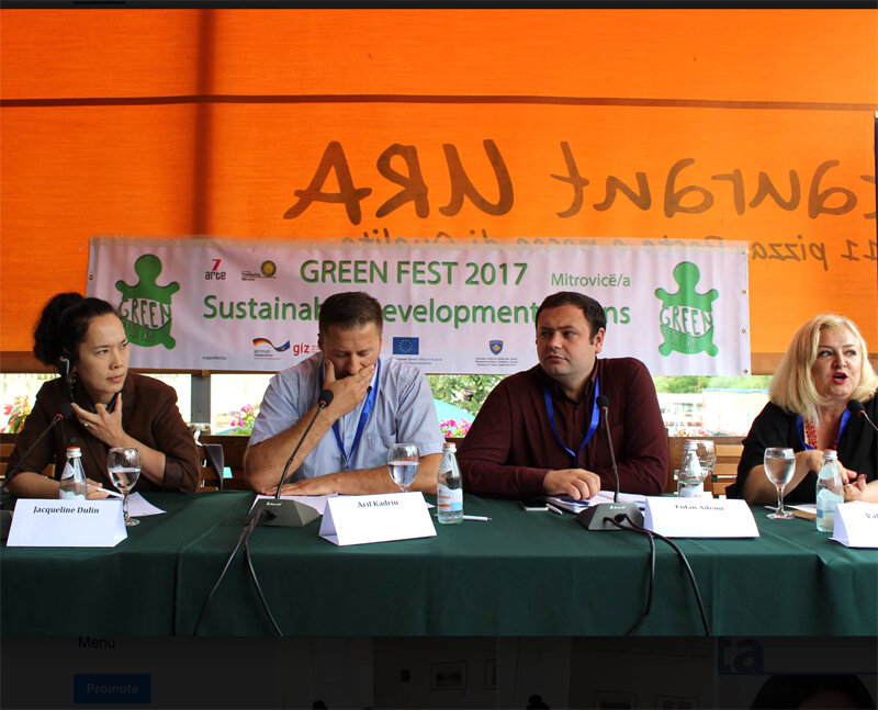  Representing the KAE Gallery at the 2017 GreenFest panel with other community and government leaders. 