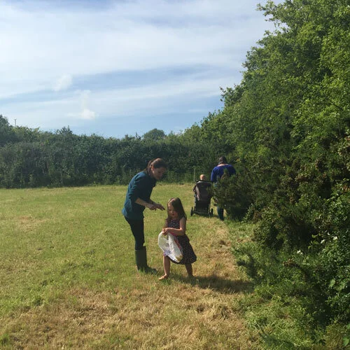 Our summer of picking cornish botanicals