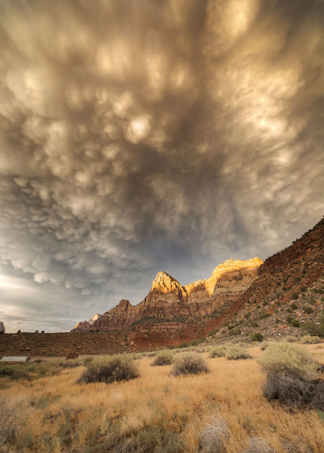 landscape-9.jpg