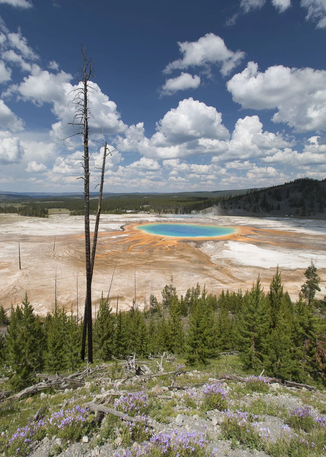 landscape-4.jpg