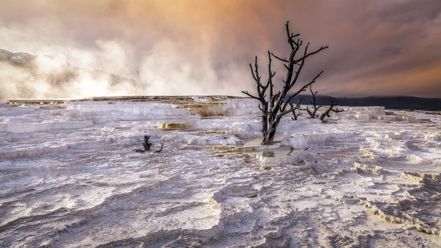 landscape-20.jpg