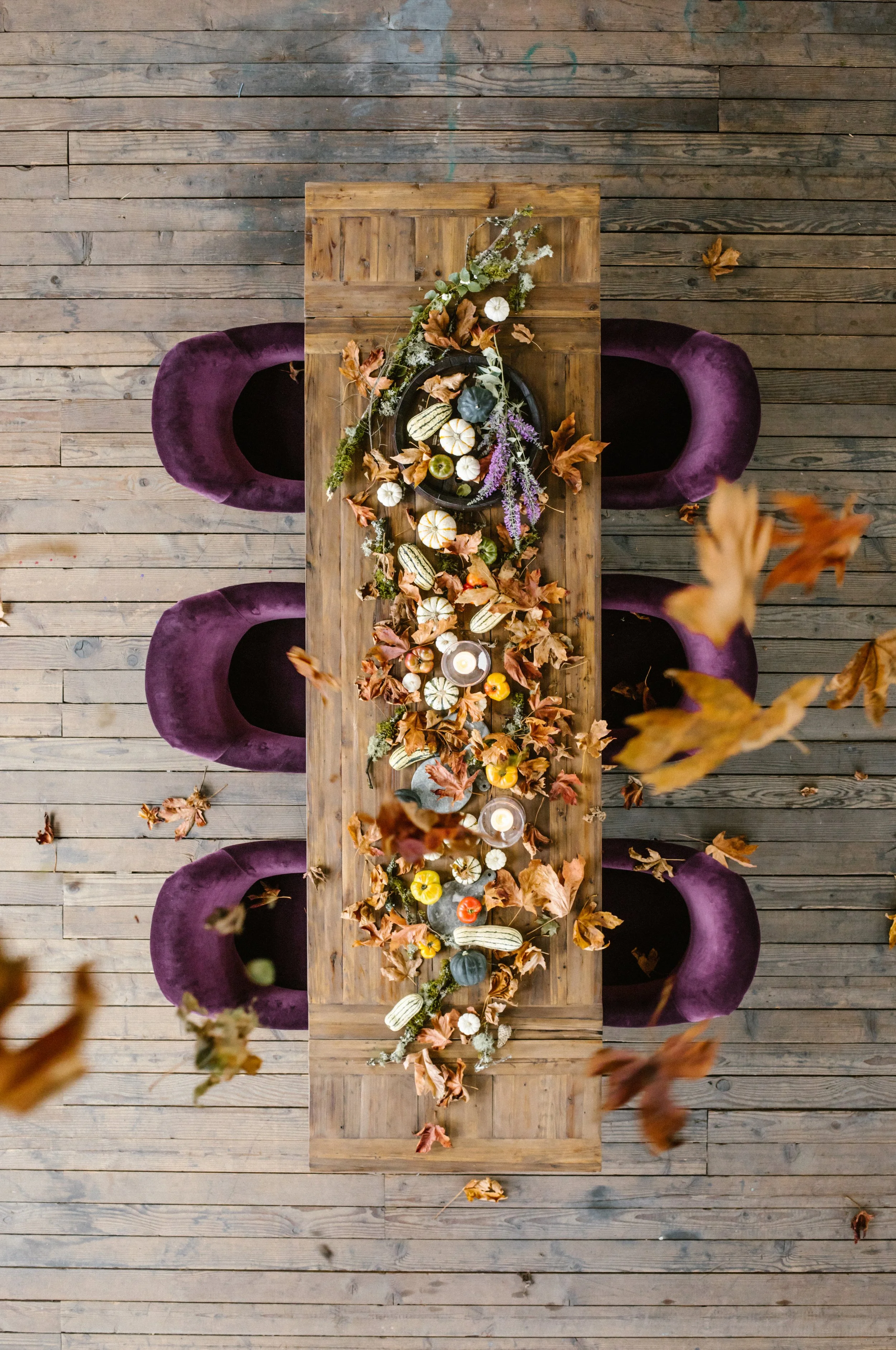 leaves falling edited.jpg