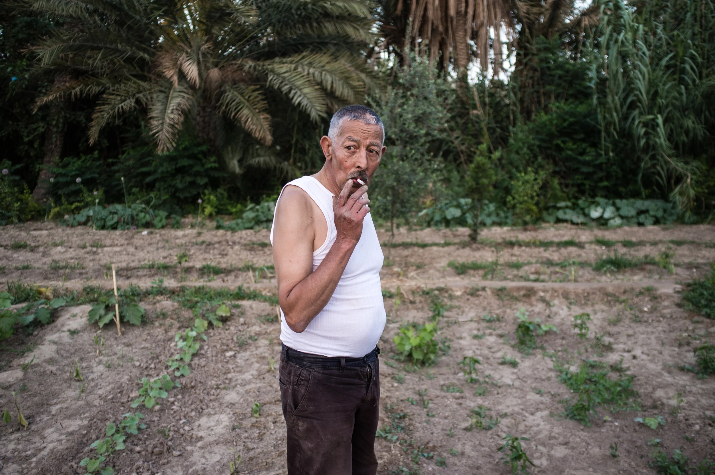 Ali Ahmed, agriculteur dans sa parcelle qu'il a hérité de son père. Oasis de Chenini à Gabès, seul oasis côtier de Mediterranée, Reportage paru dans Socialter en décembre 2016.
