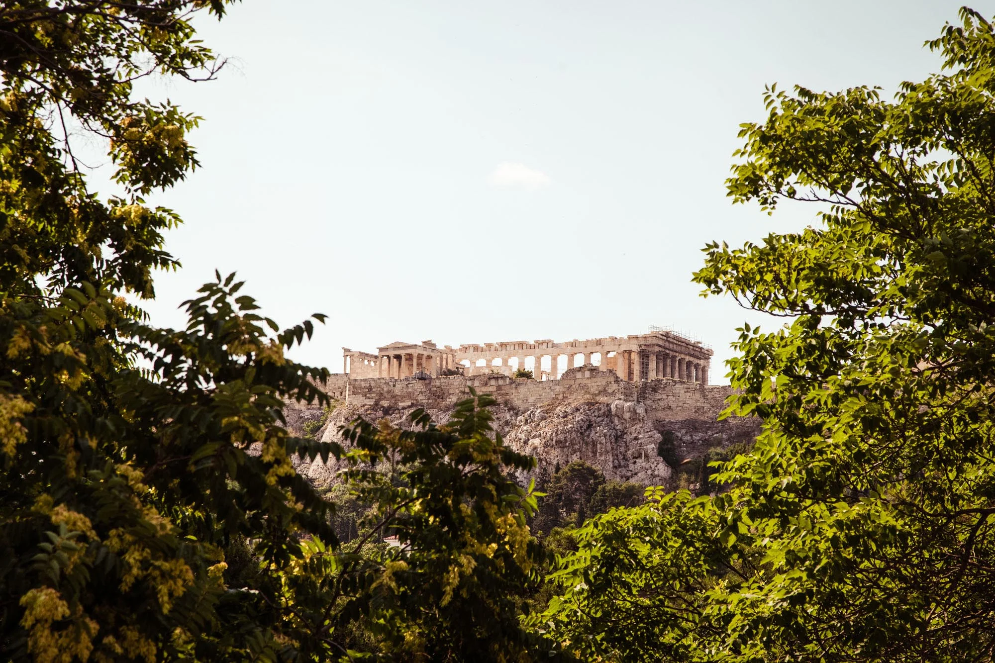 10-201806-GRECE-COMPTOIR-ATH-ILLUSTRATIONS©AUGUSTIN_LE-GALL_HAYTHAM-PICTURES-IMG_9639.jpg