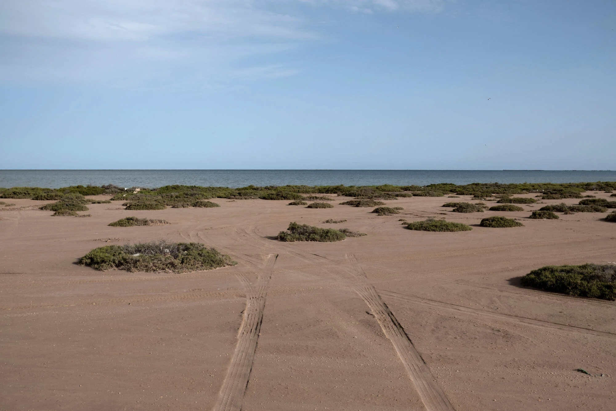 52-2019-Augustin-Le_Gall-DSCF2521.jpg