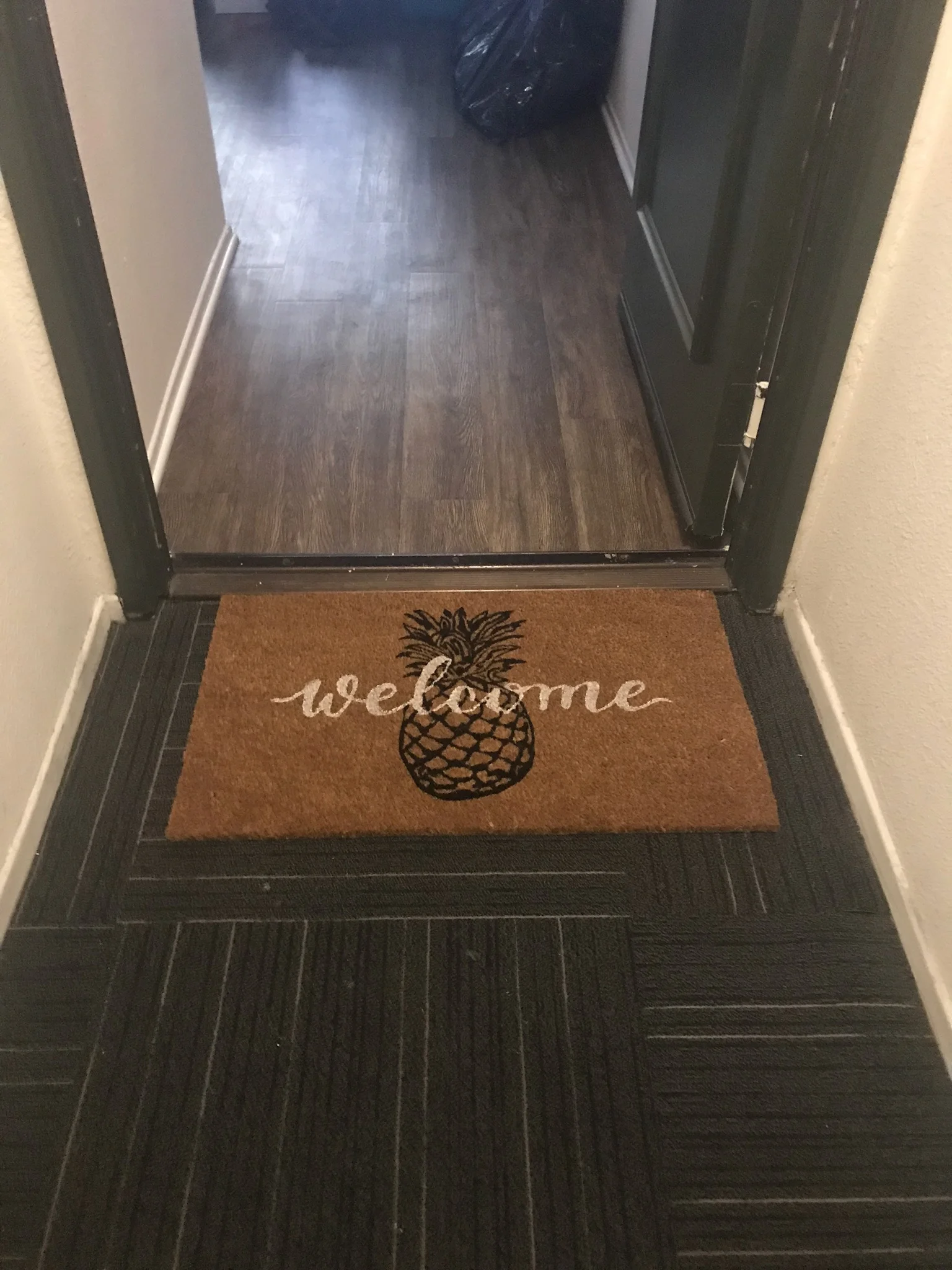 newapartment.jpg
