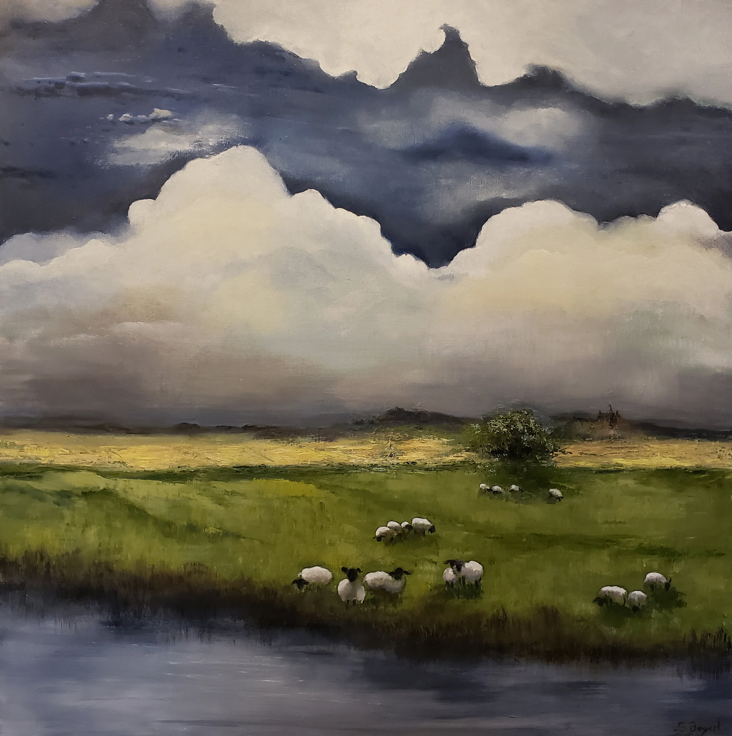 Sheep in field  dark sky.jpg