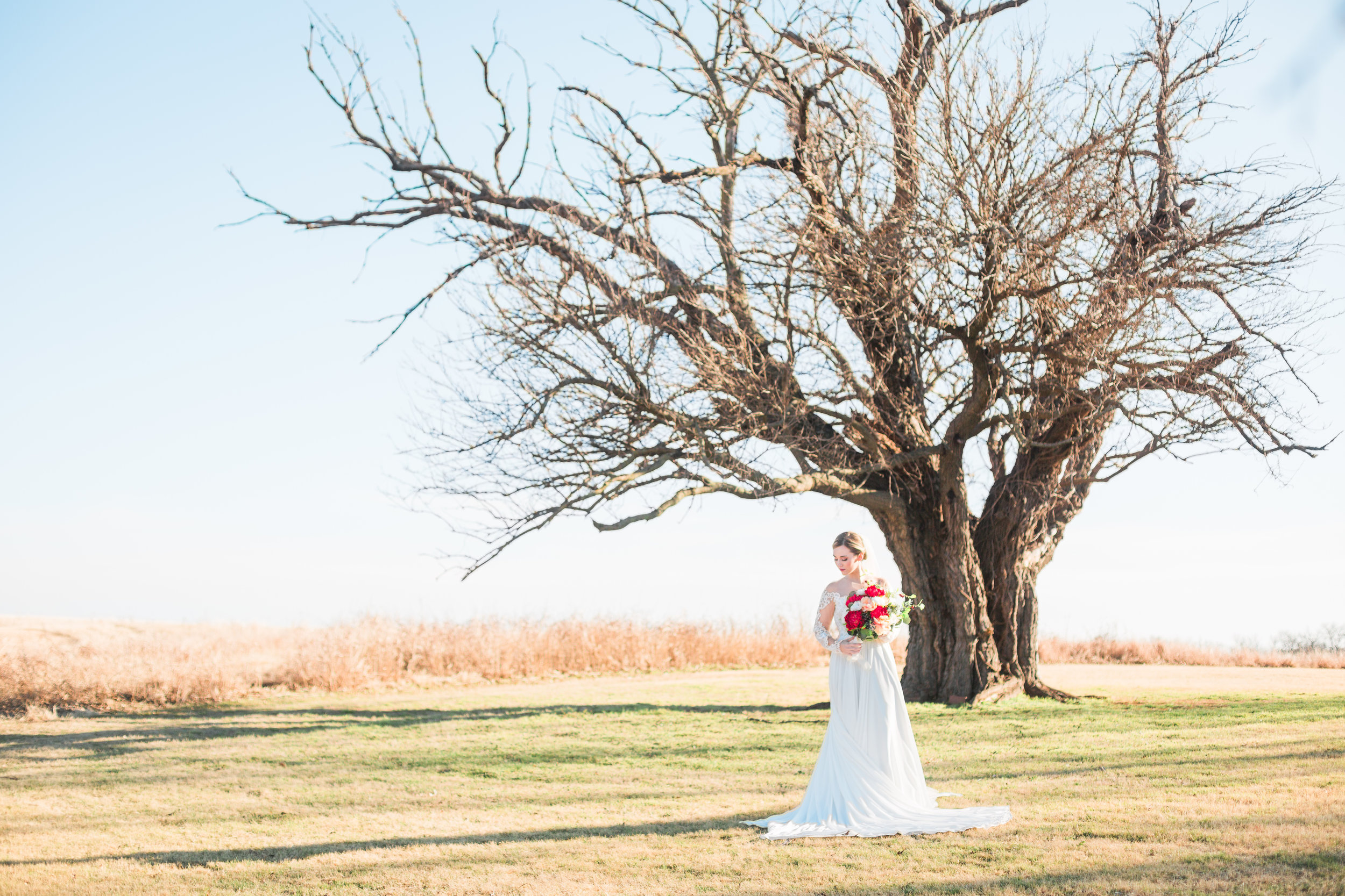 Hannah Bridal Tree-1069.jpg