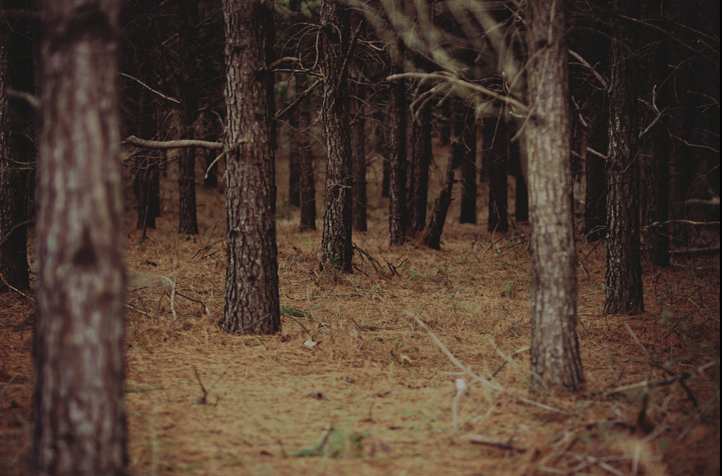 4c27f11a3d7d42323c6da20132aafe6e.png
