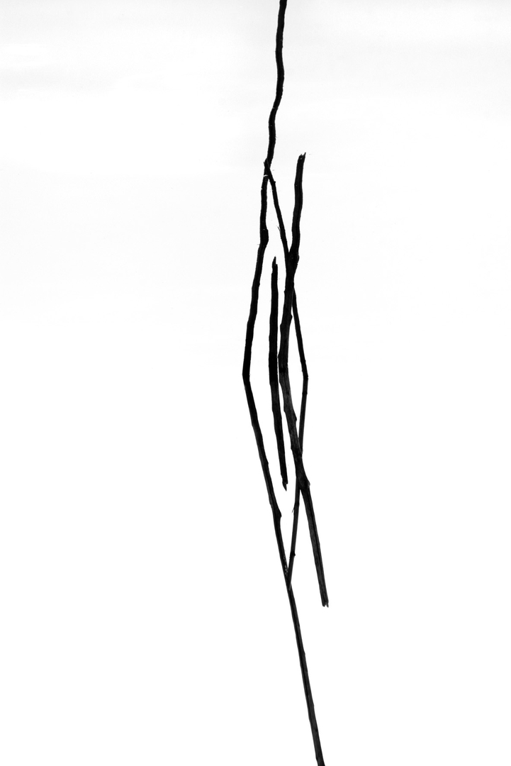 a6c25d76b6ce4ccda3ac7a4b34061d0f.jpeg