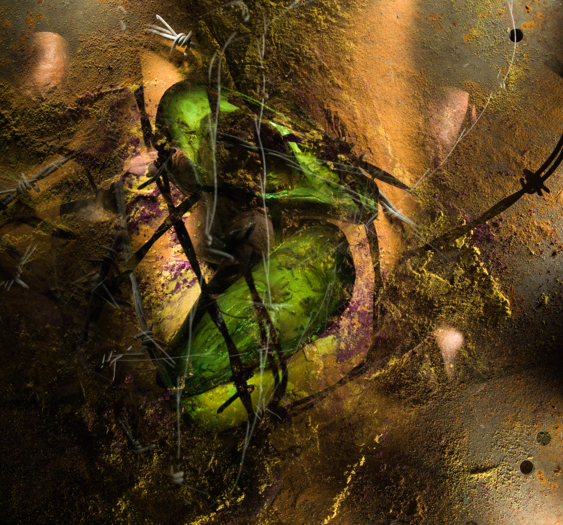 AGUACATE 2_8115.jpg