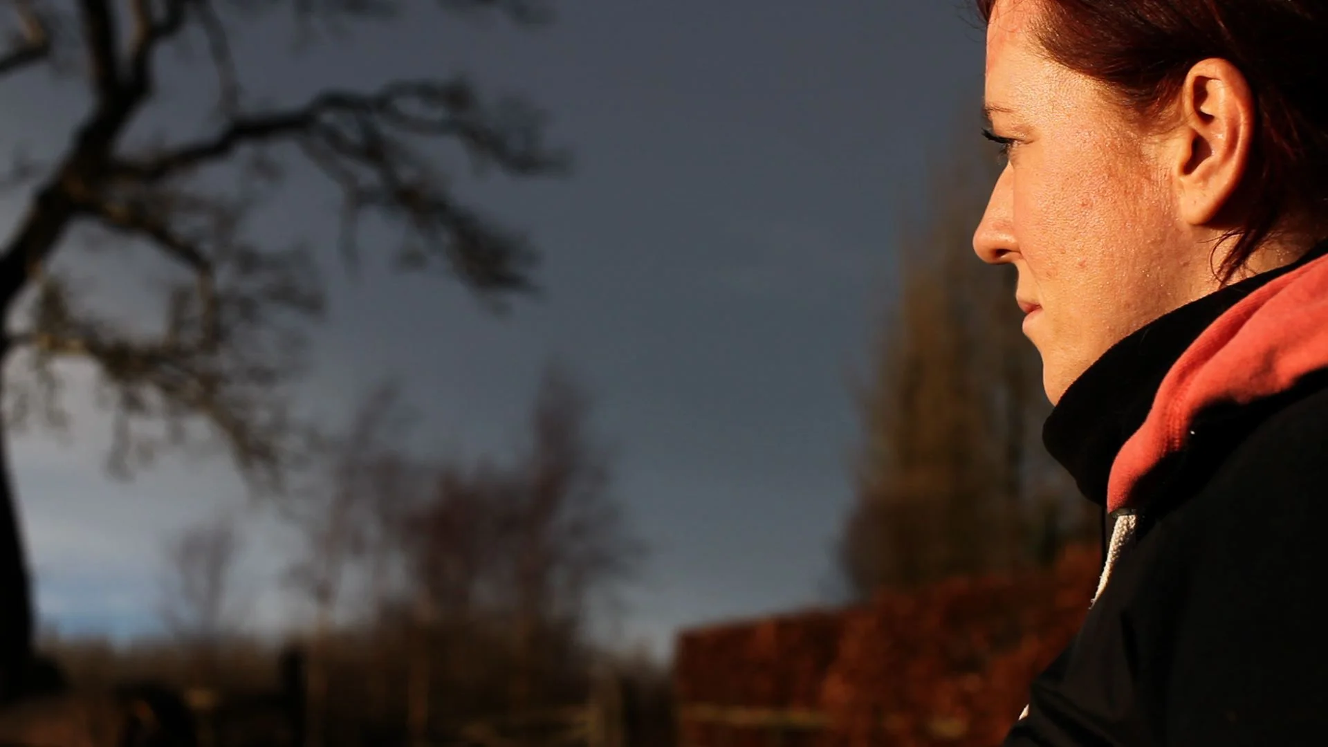 portrait in Capall.jpg