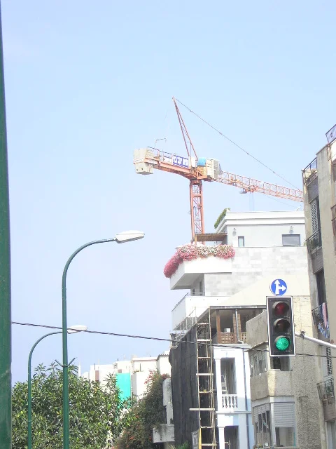 Crane 1 Photo