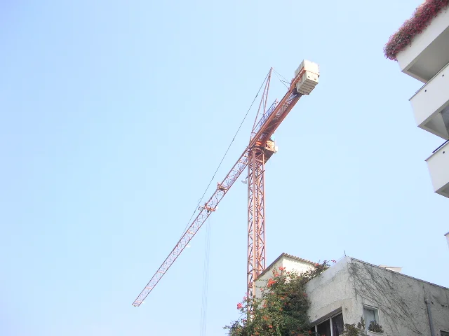 Crane 2 Photo