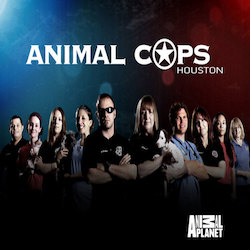 Animal Cops.jpeg