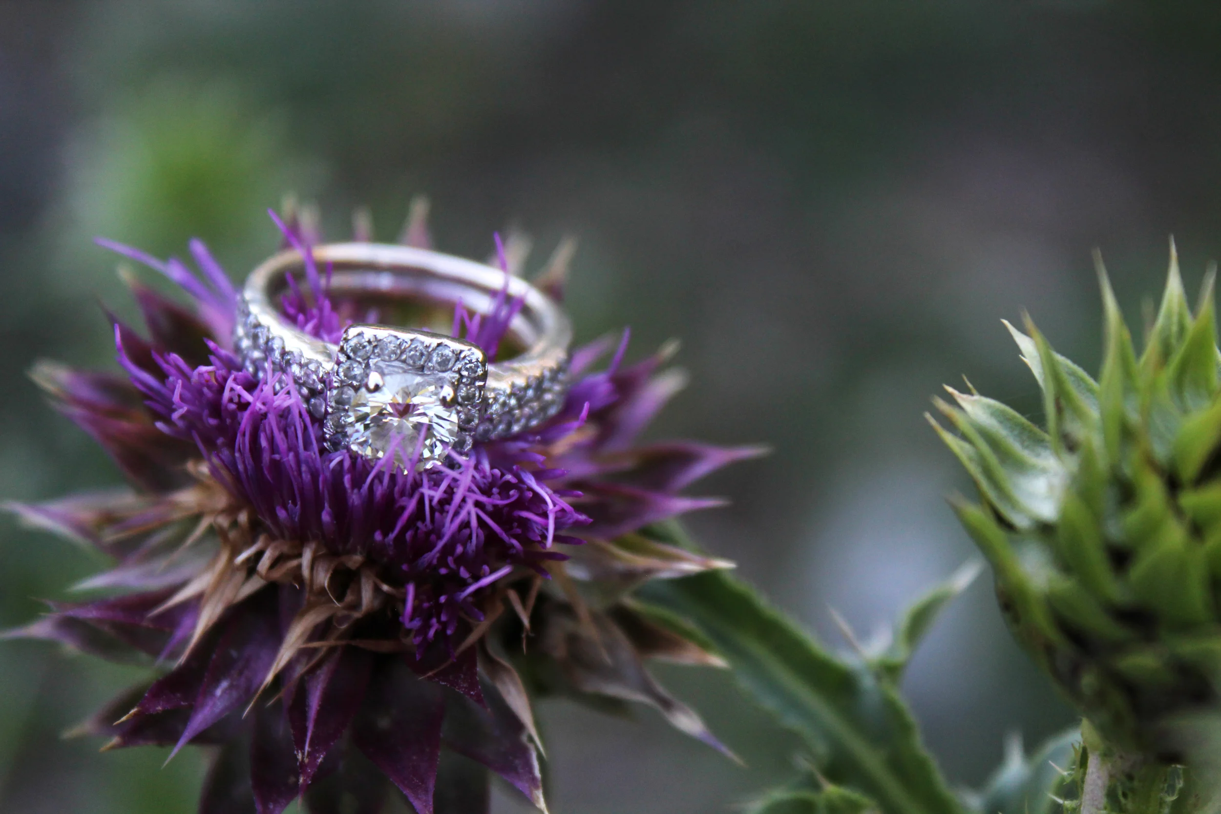 Engagement-Ring-2.jpg