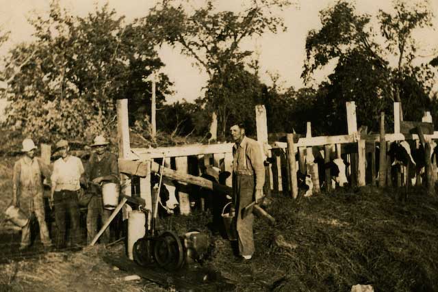 1. Henry Elsen Milking Cows