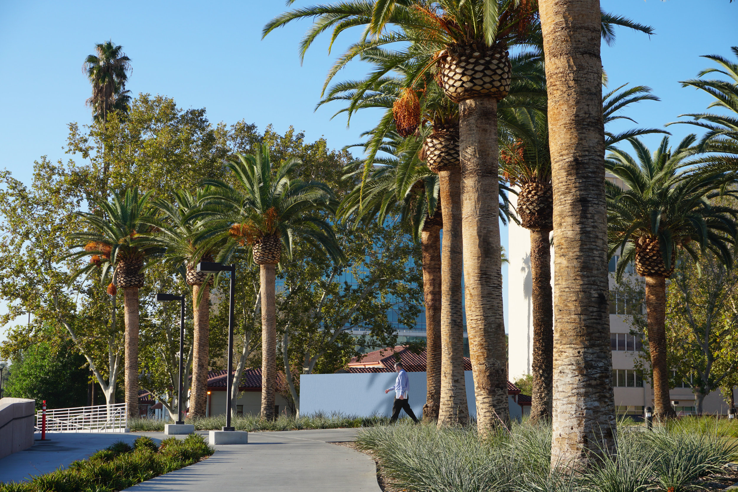 Dereck Revington Studio - San Bernardino December 2nd Memorial - View Looking South