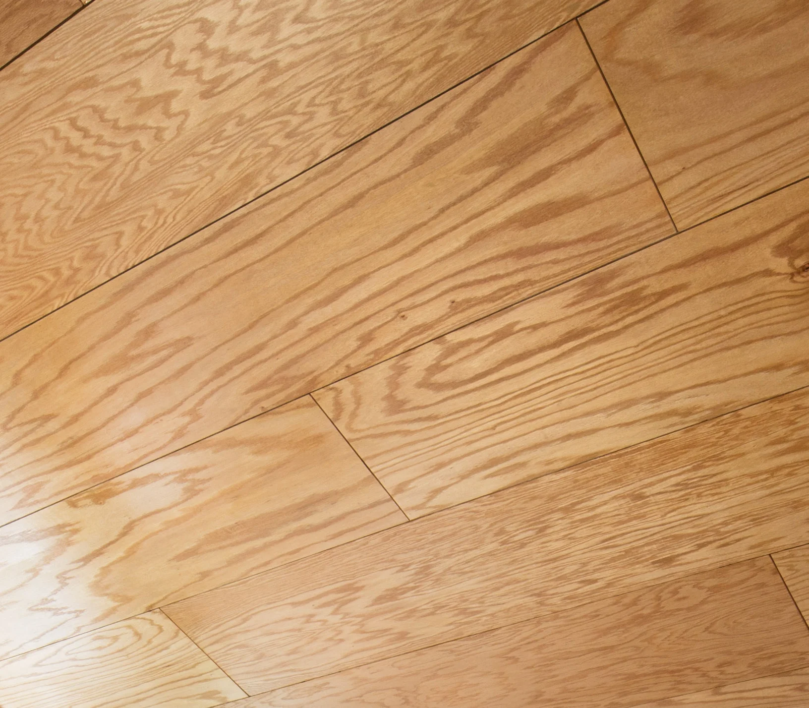 PLYWOOD.jpg