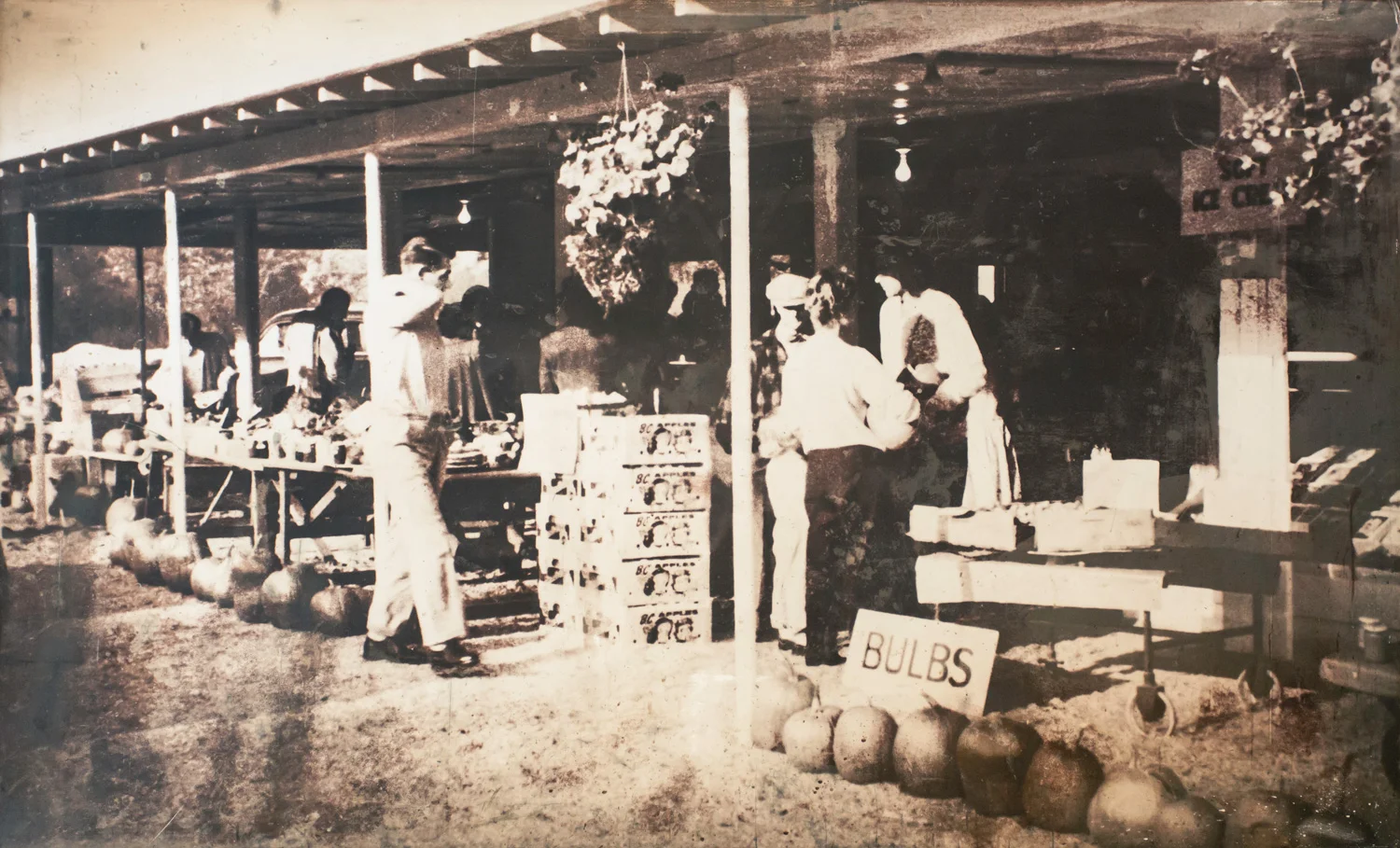 MATTICK'S FARM STAND EST. 1957