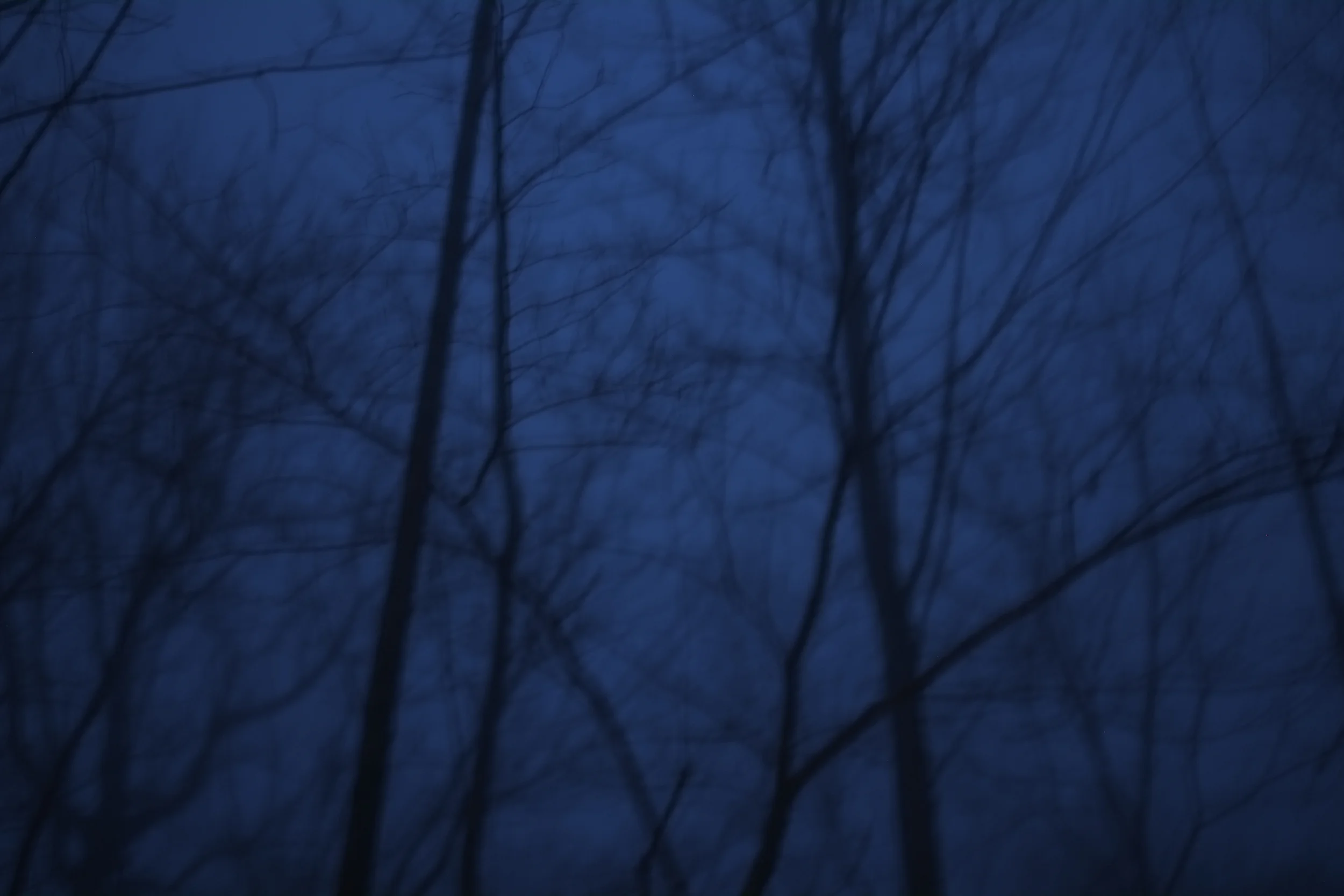  Monteagle, TN January 26, 2016 Fog BY CARL SANDBURG The fog comes on little cat feet. It sits looking over harbor and city on silent haunches and then moves on.