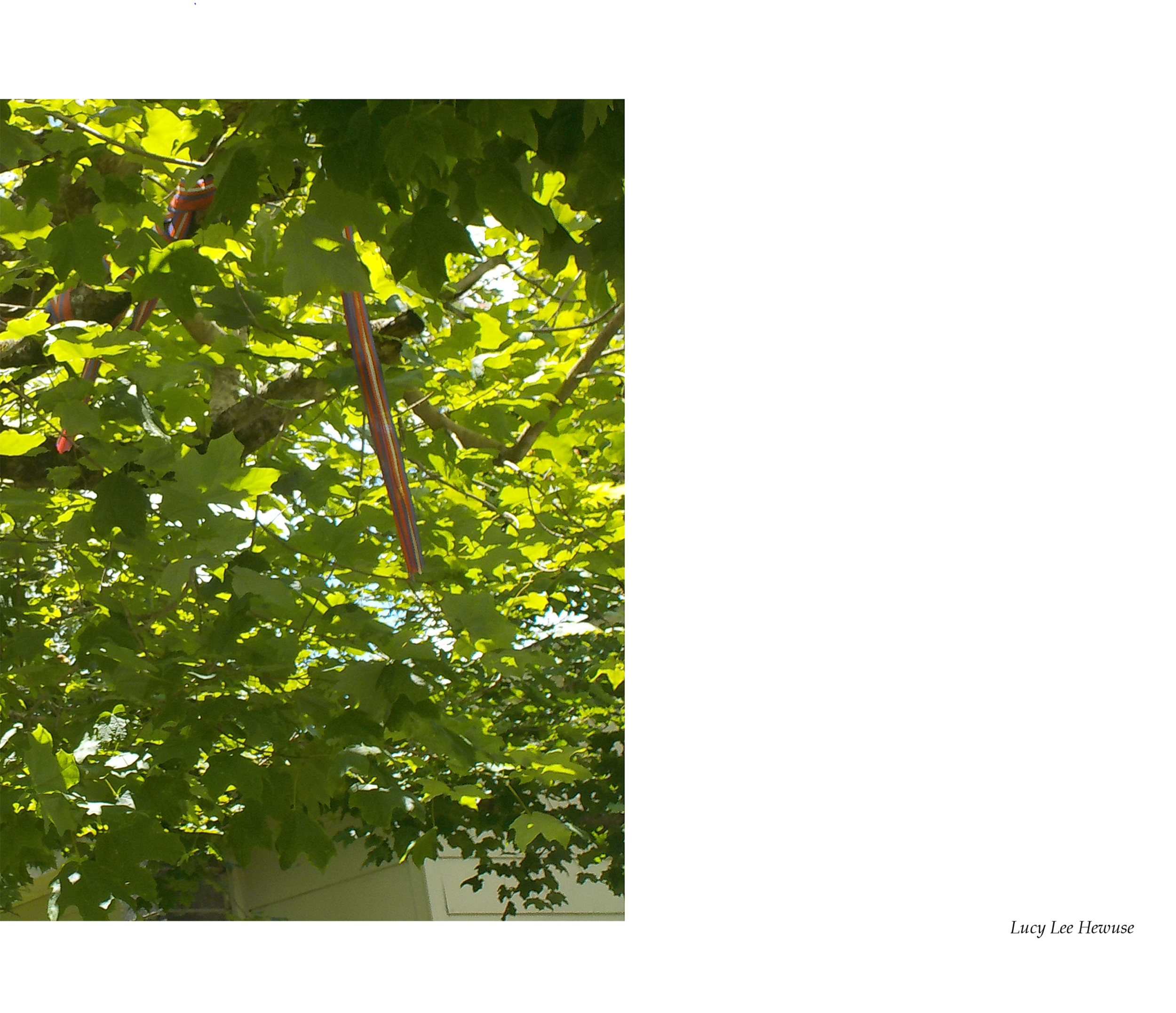 CampDiscoverBook_Proof_2015-43.png