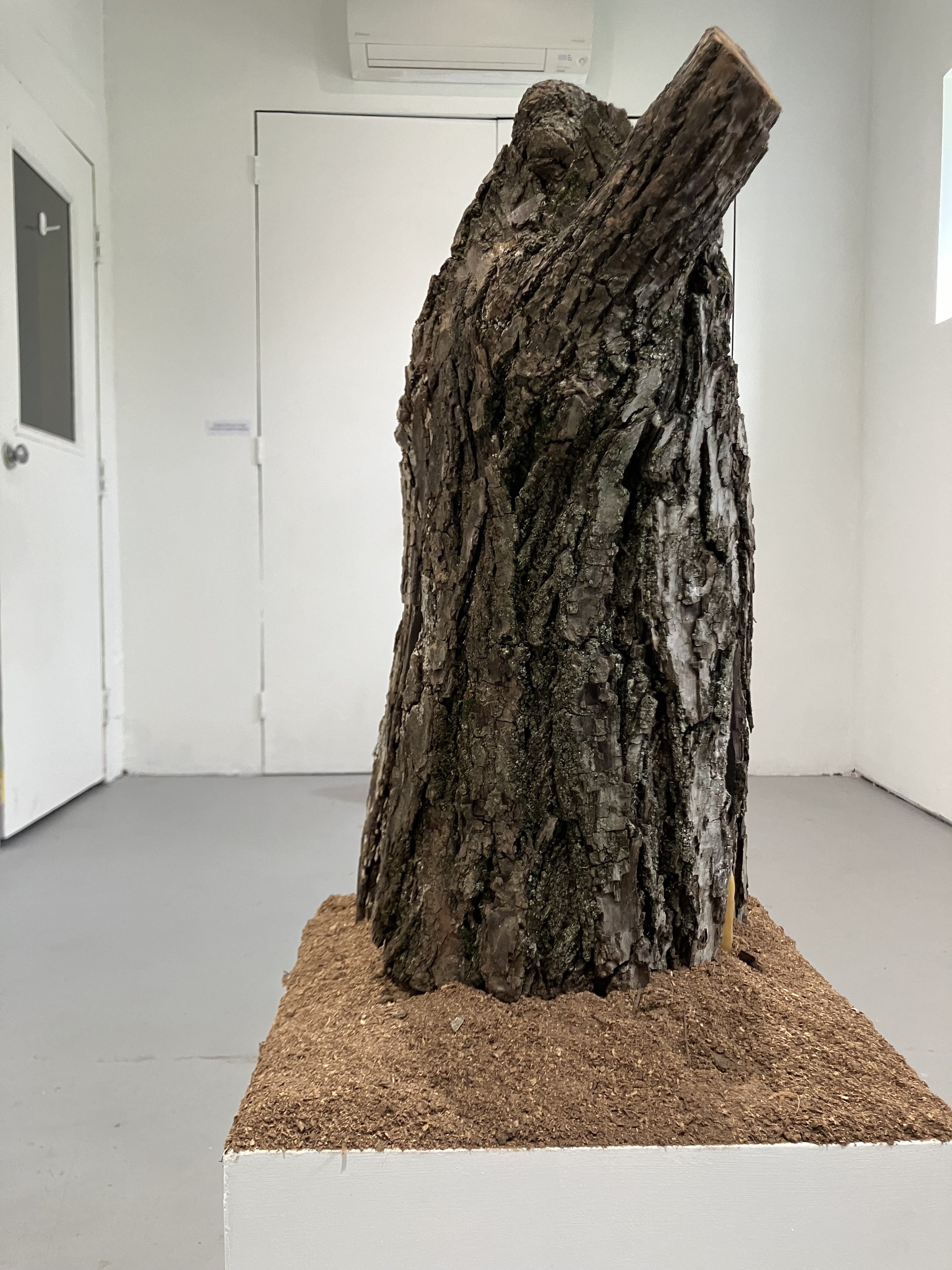 Memorial for Felled Tree