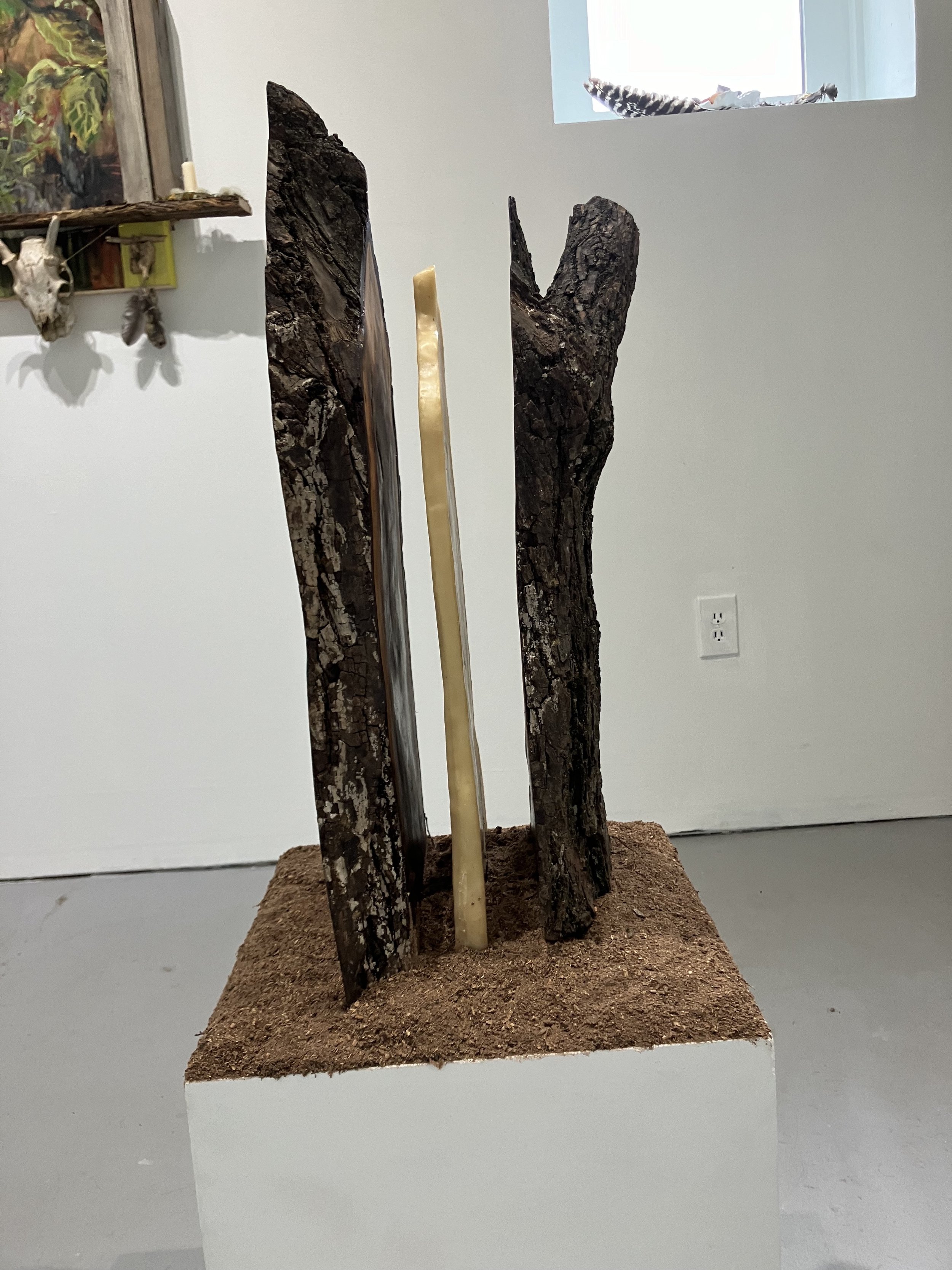 Memorial for Felled Tree
