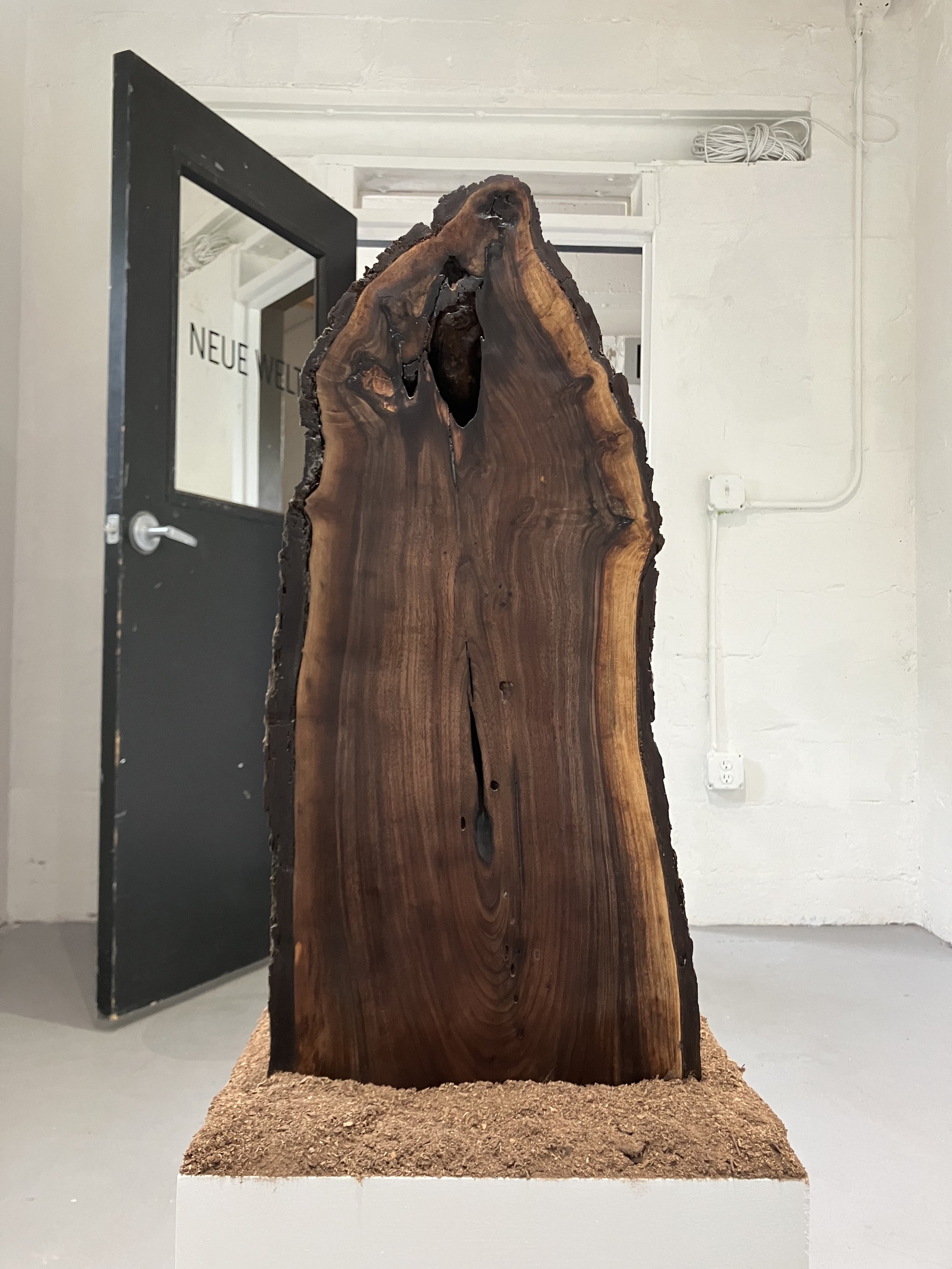 Memorial for Felled Tree